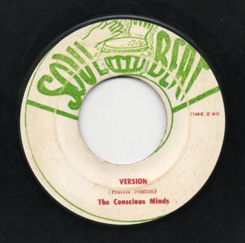 consciousmindssuffering 2.jpg