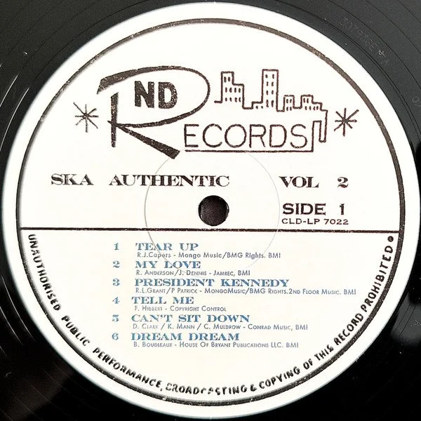 skaauthenticvol2lp 3.jpg