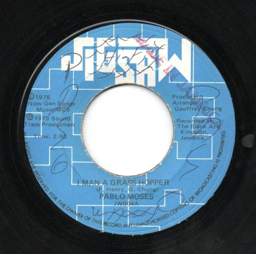 pablomosesimangrasshopper.jpg