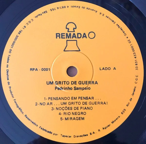 pedrinho 4.jpg