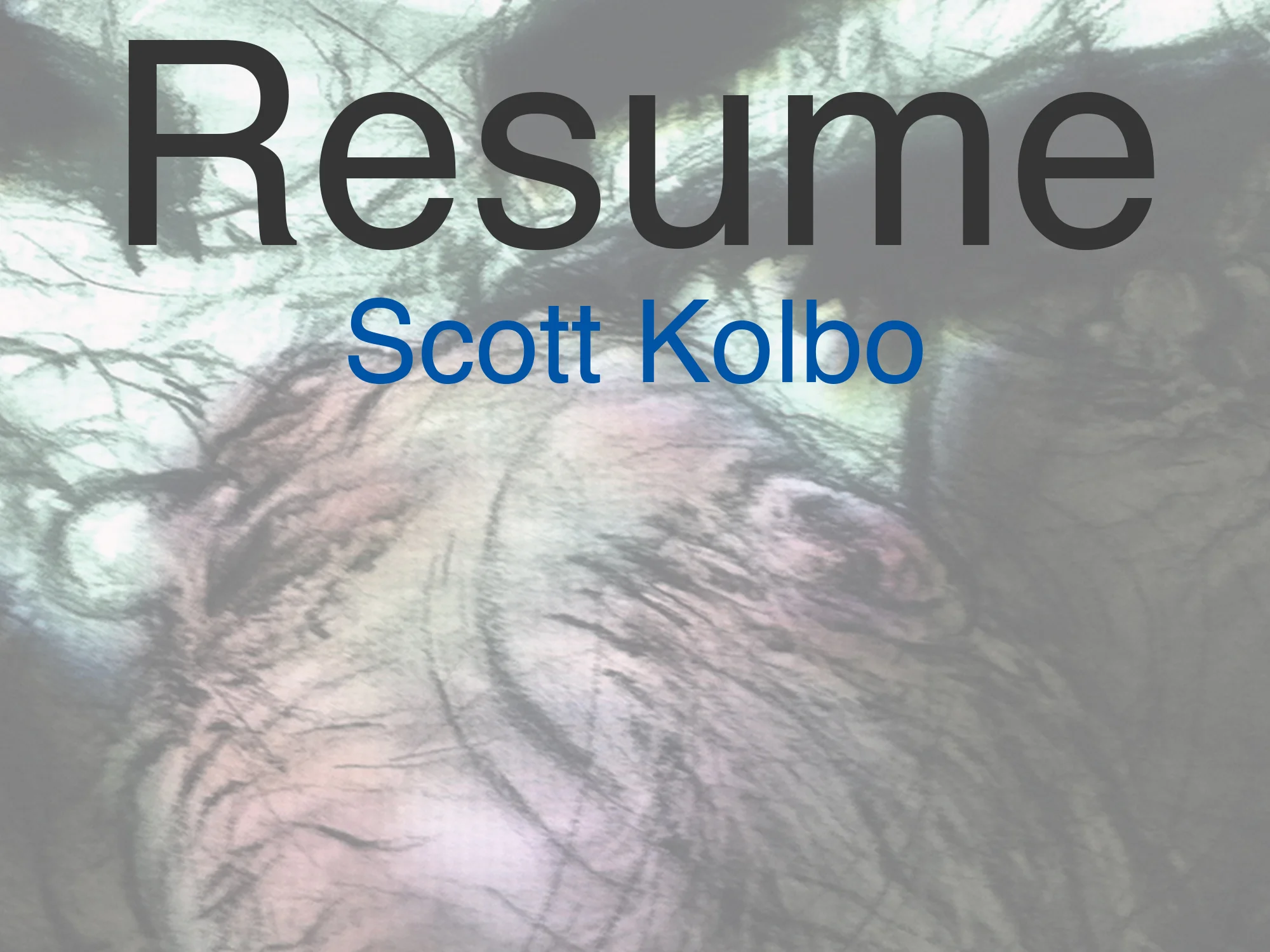 Scott Kolbo Resume