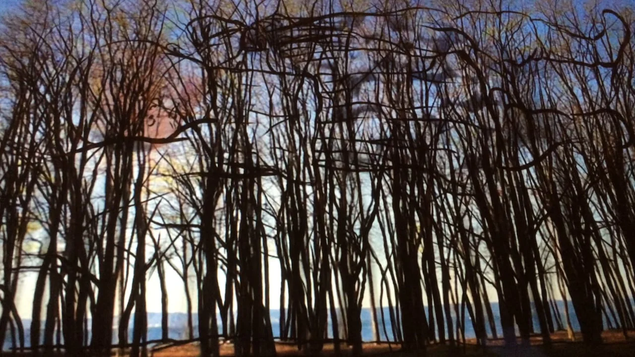 Elements: Water Rehersal