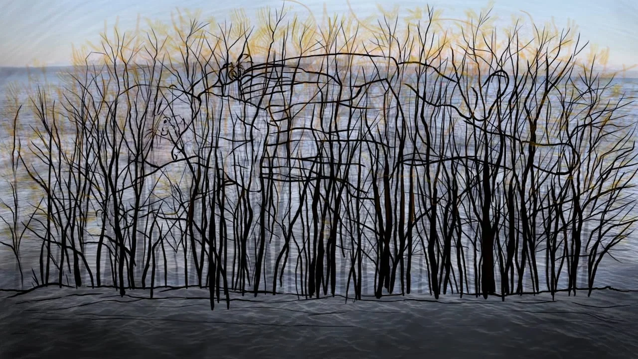 Elements Project: Water NO SOUND