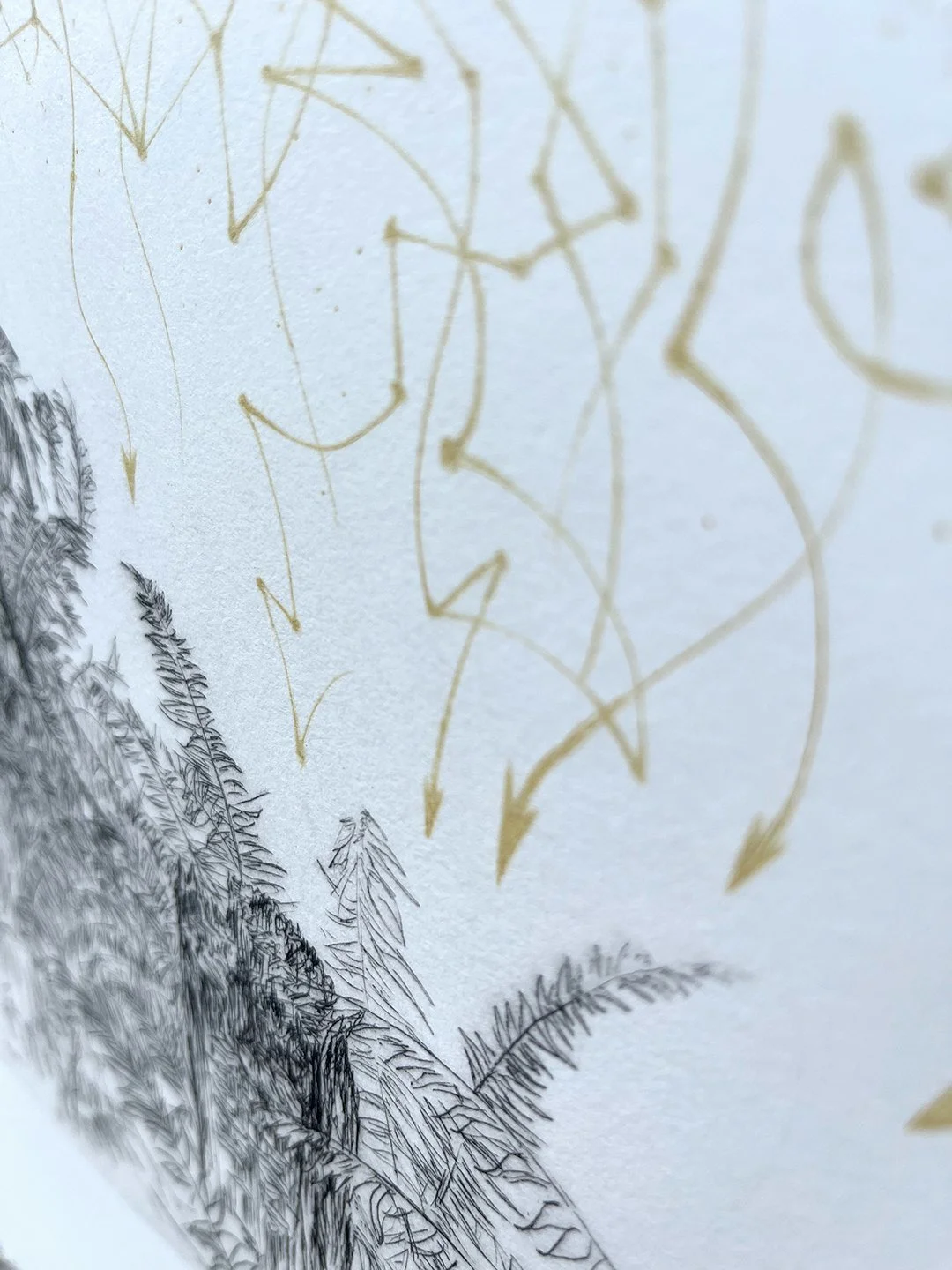 Monument Landscape Forest Boot Detail 01 small.jpg