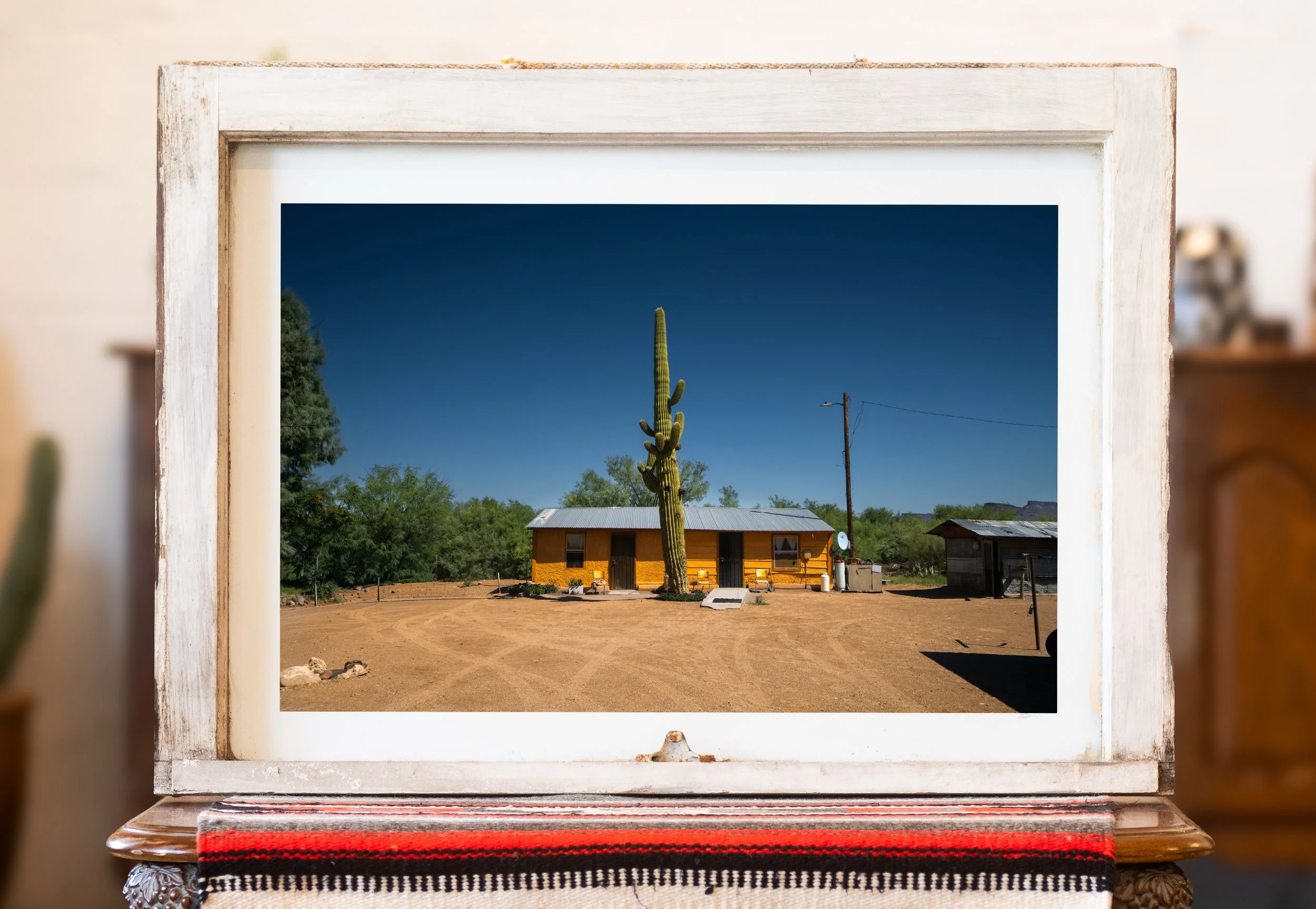 Saguaro Art Photo Wes Texas