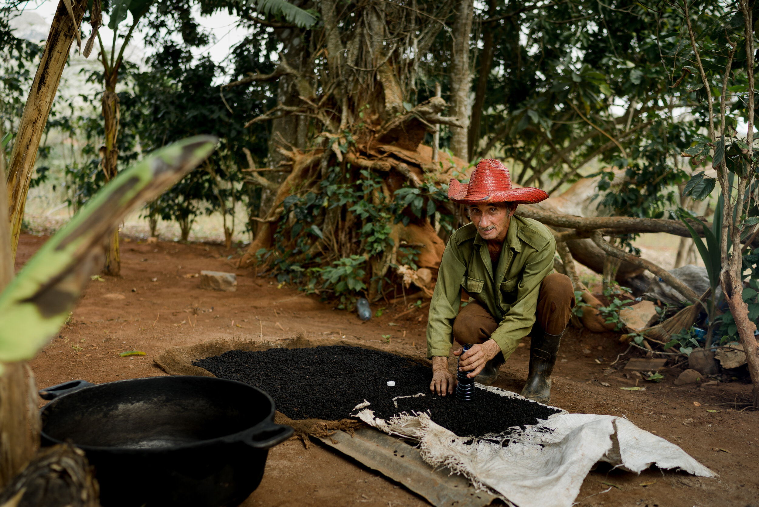 Sorting Coffee Beans in Vinales