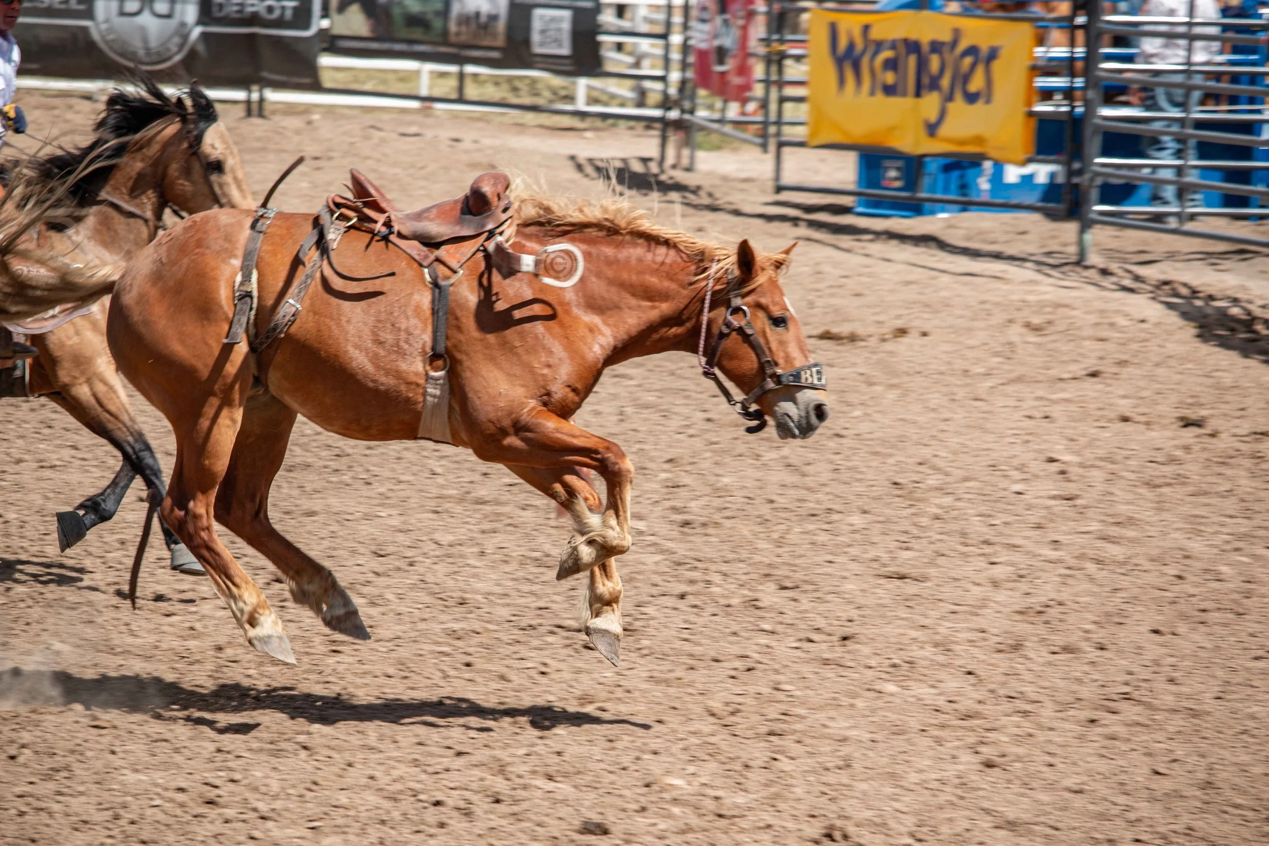 Big Bucks Rodeo 26.05.23.135.jpg