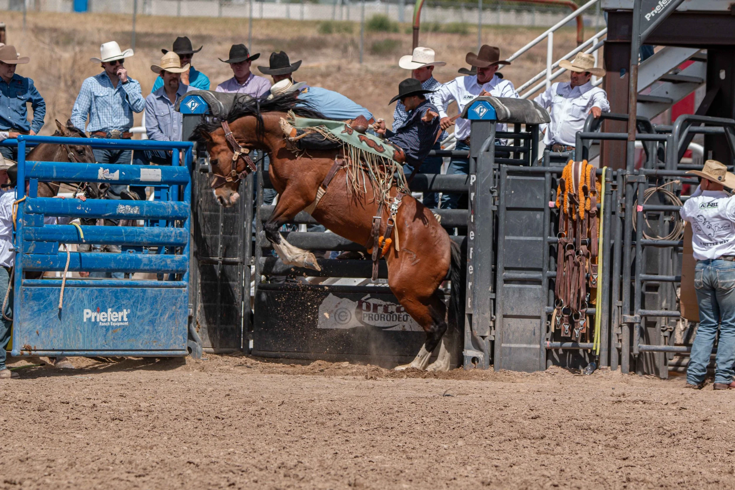 Big Bucks Rodeo 26.05.23.160.jpg