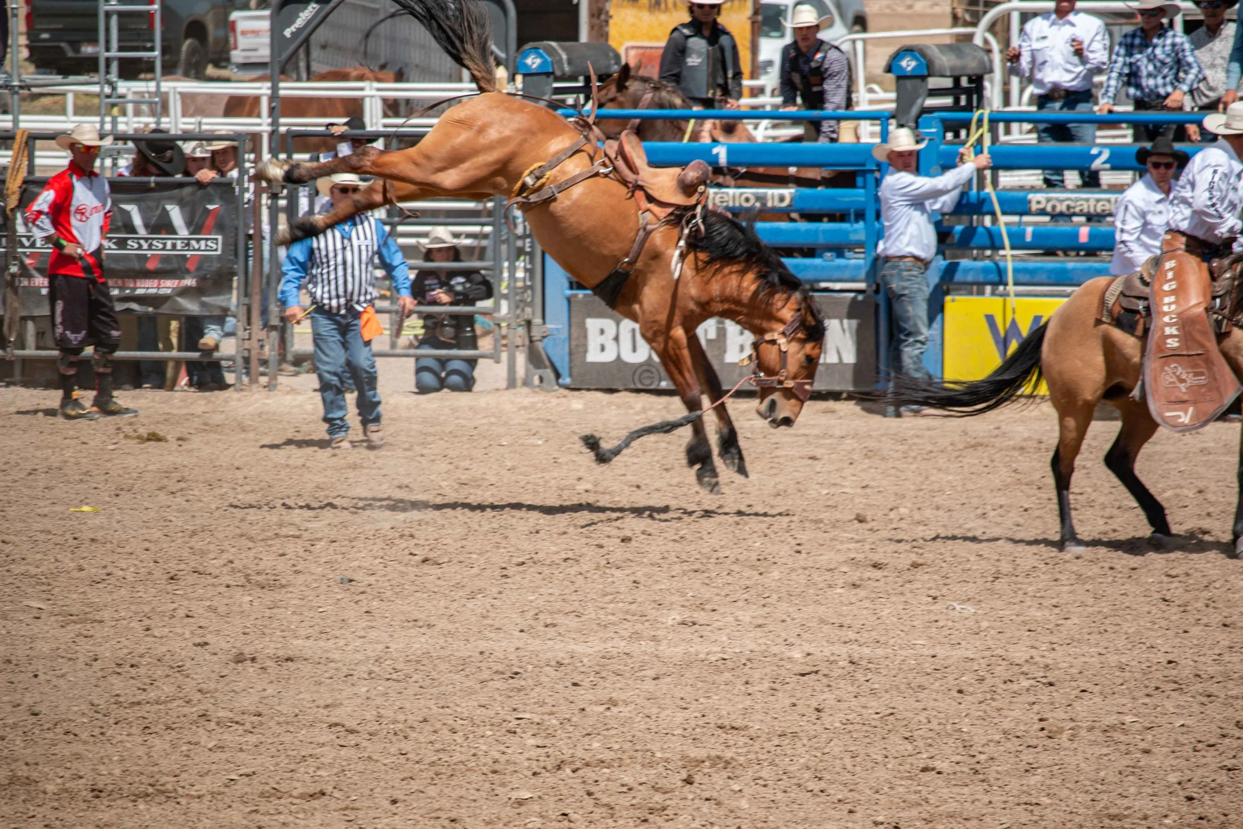 Big Bucks Rodeo 26.05.23.125.jpg