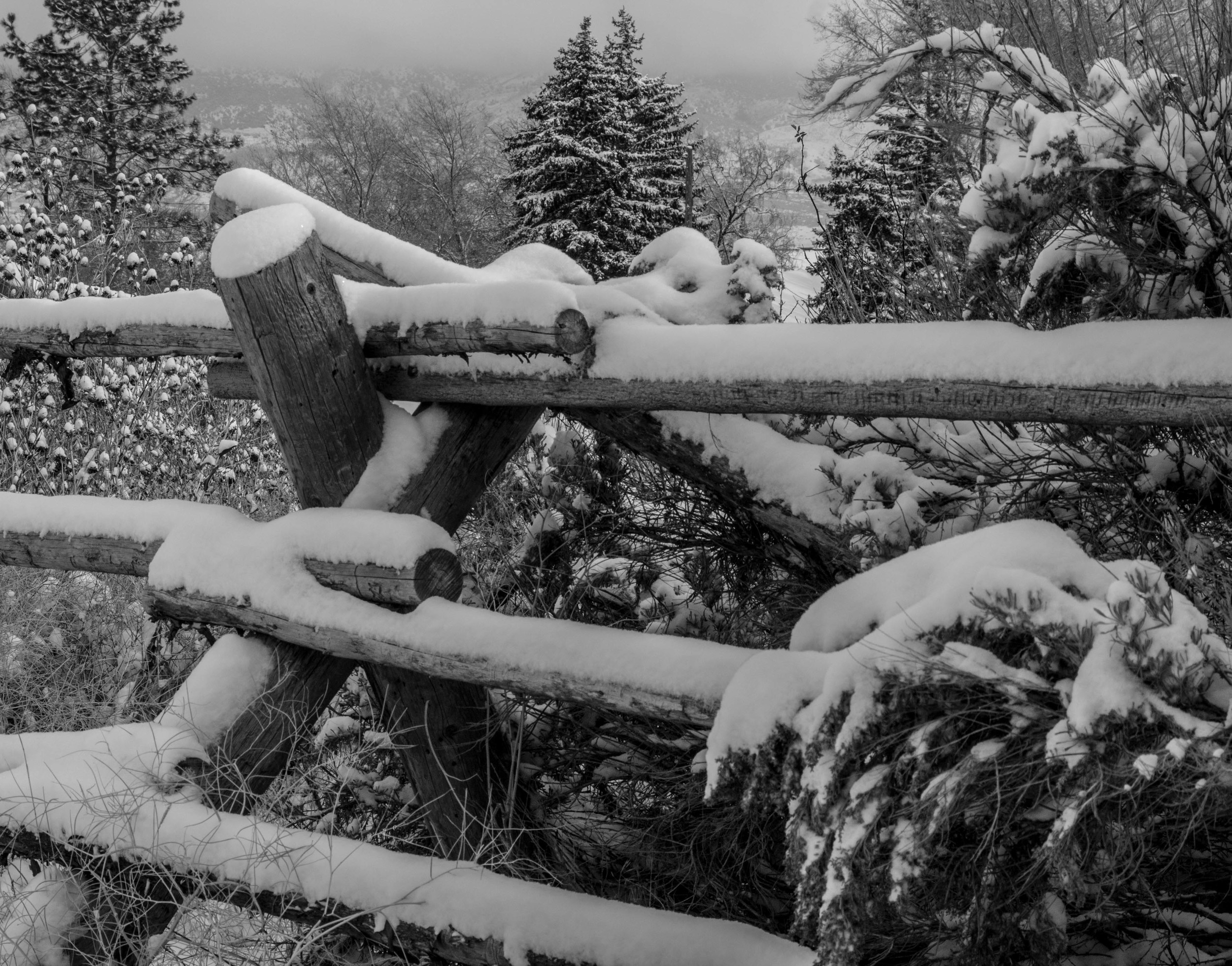 Snow Fence