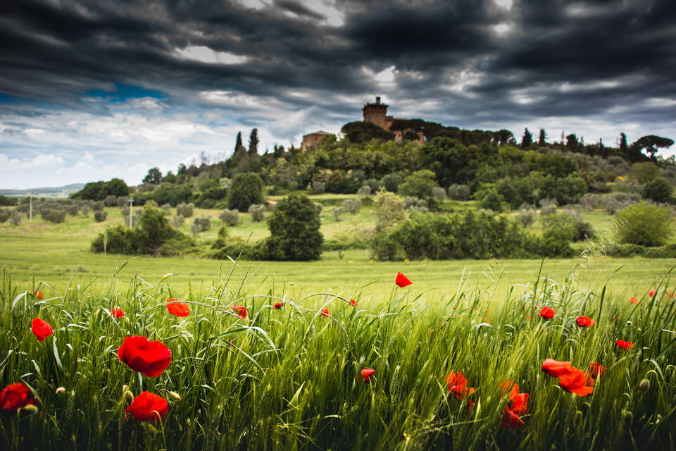 Tuscan Castle