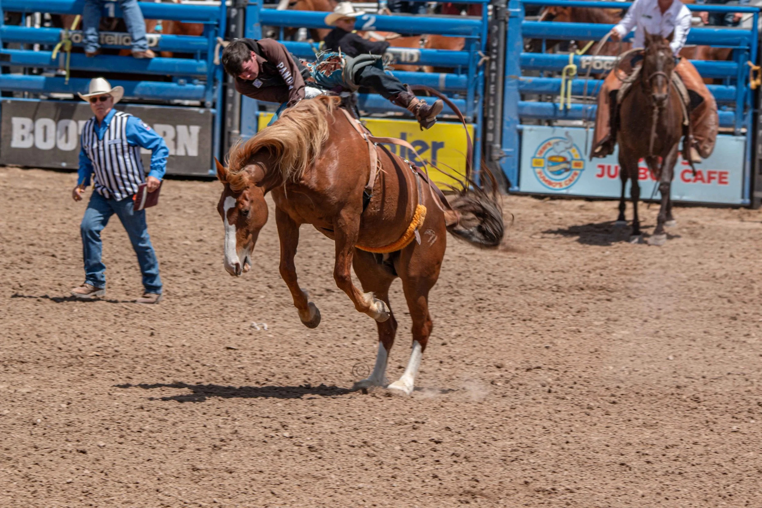 Big Bucks Rodeo 26.05.23.42.jpg