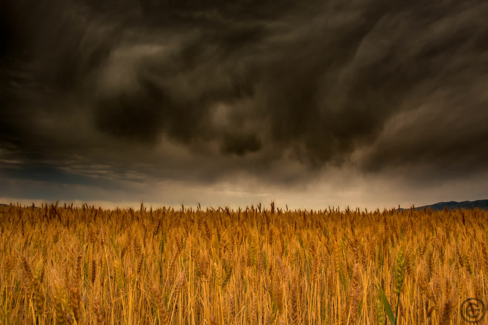 Stormy Weather