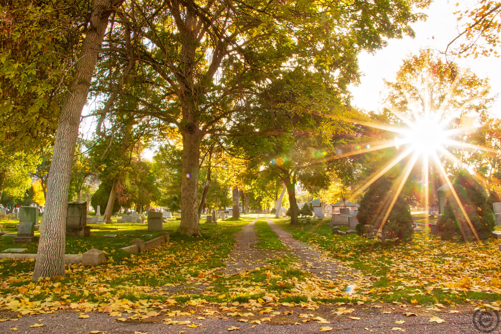 Cemetery Sunset