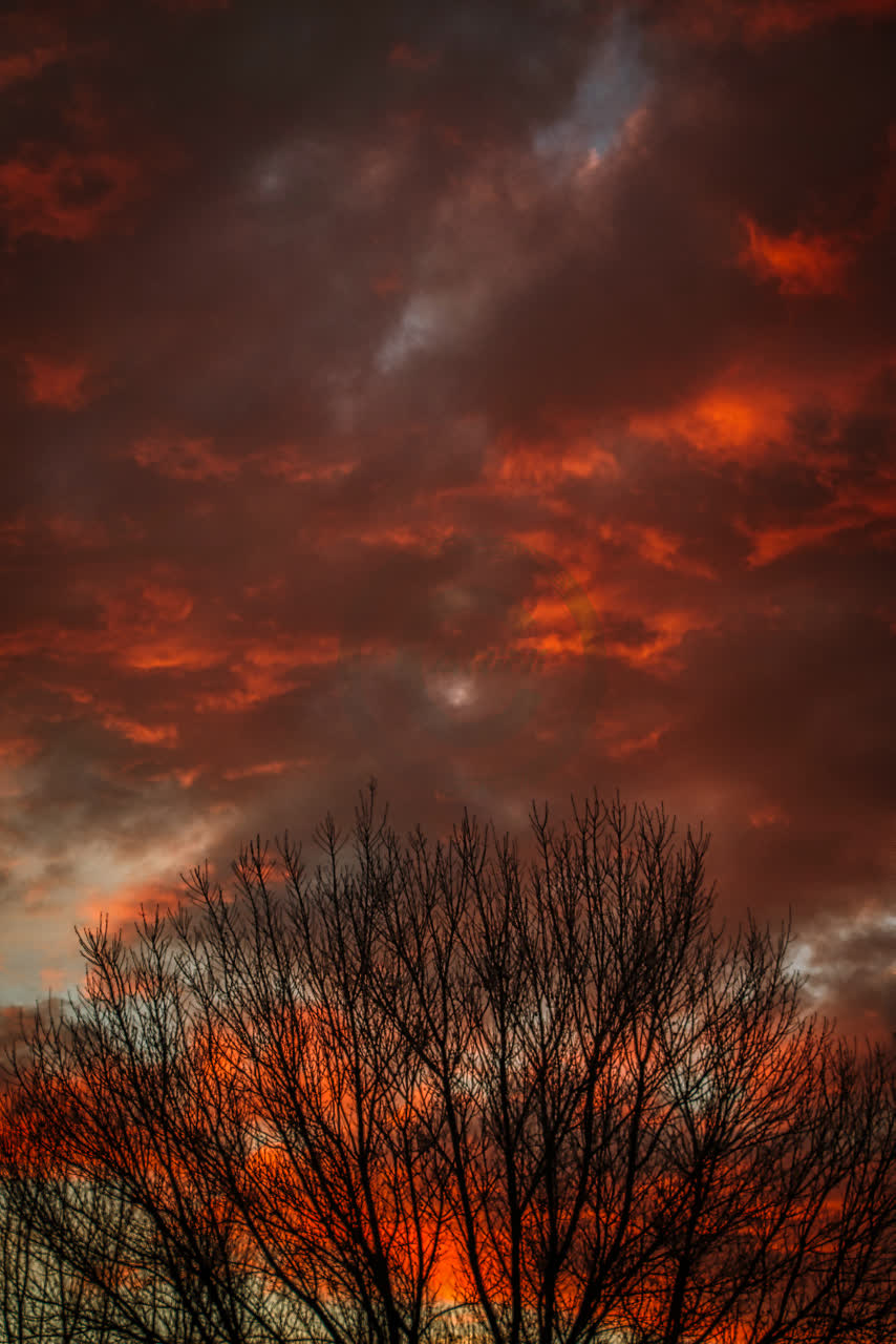 Fall Sunset