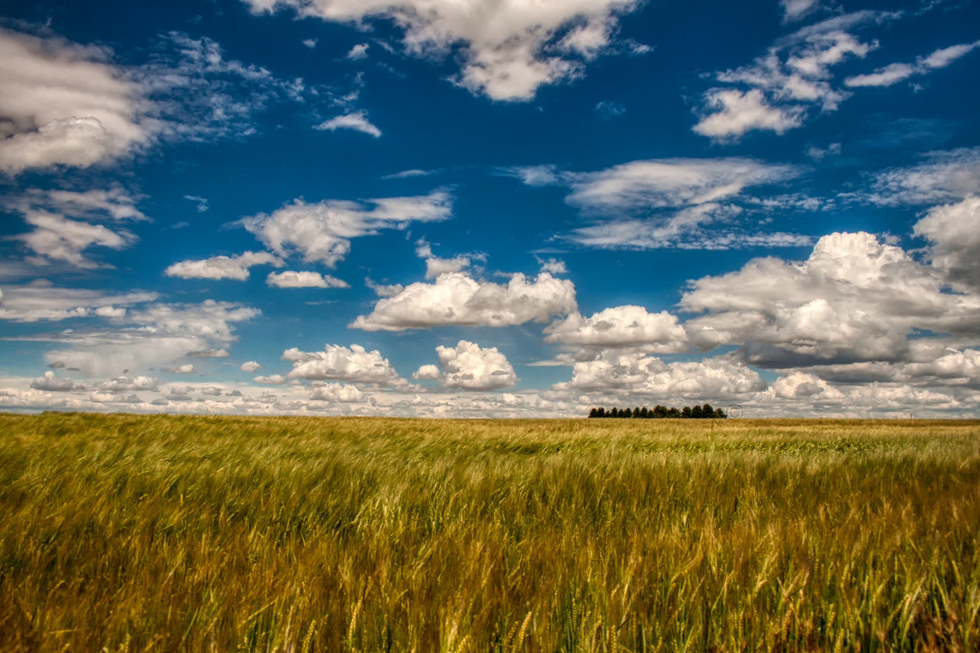 Idaho Landscape