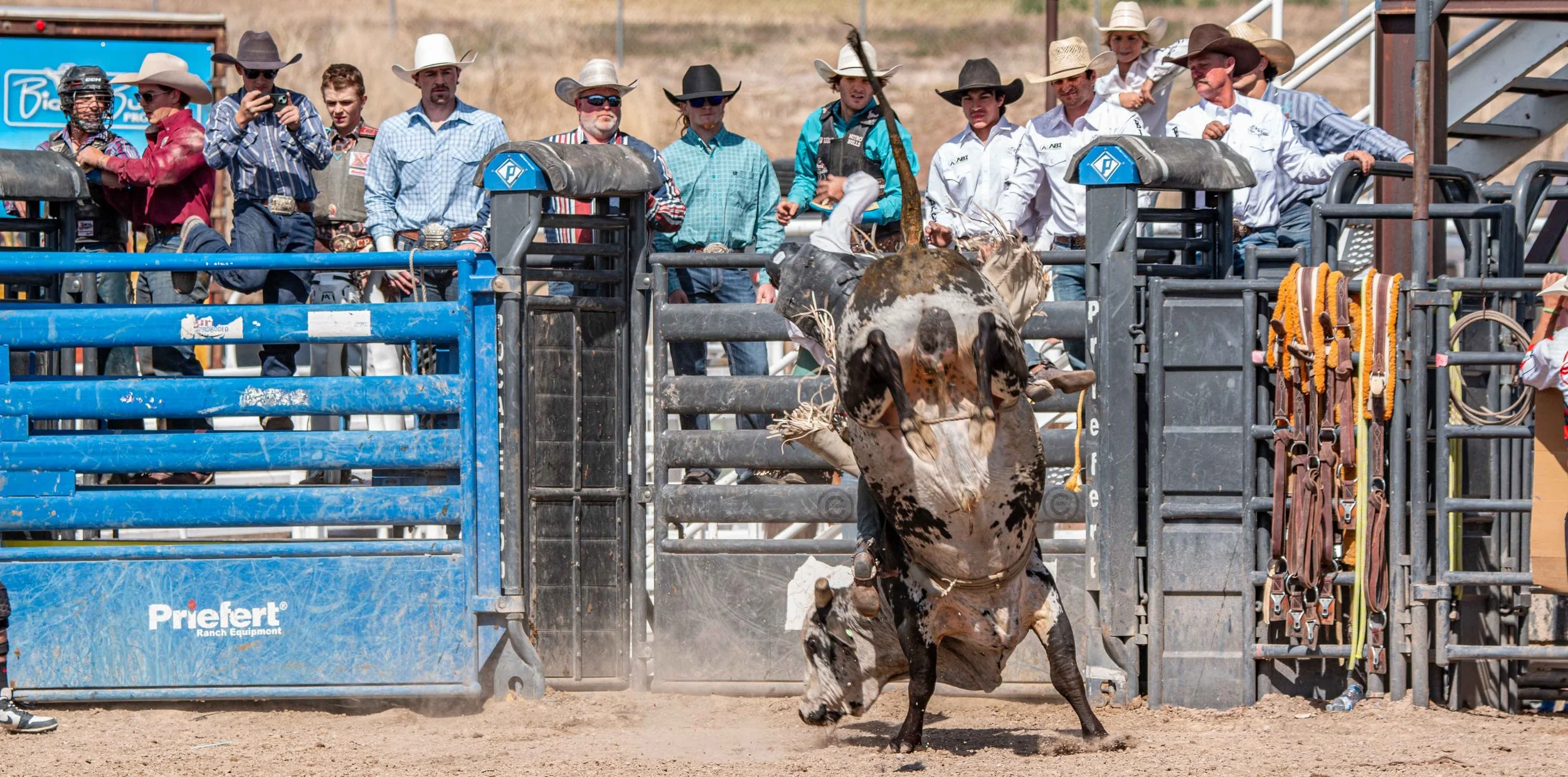 Big Bucks Rodeo 26.05.23.201.jpg