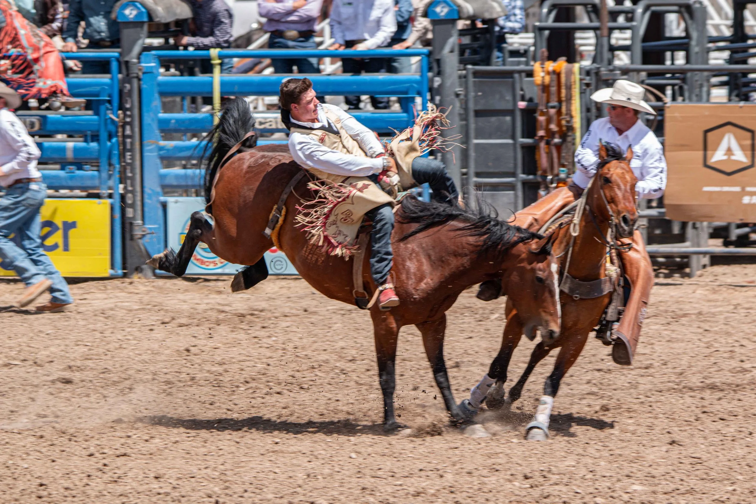 Big Bucks Rodeo 26.05.23.75.jpg