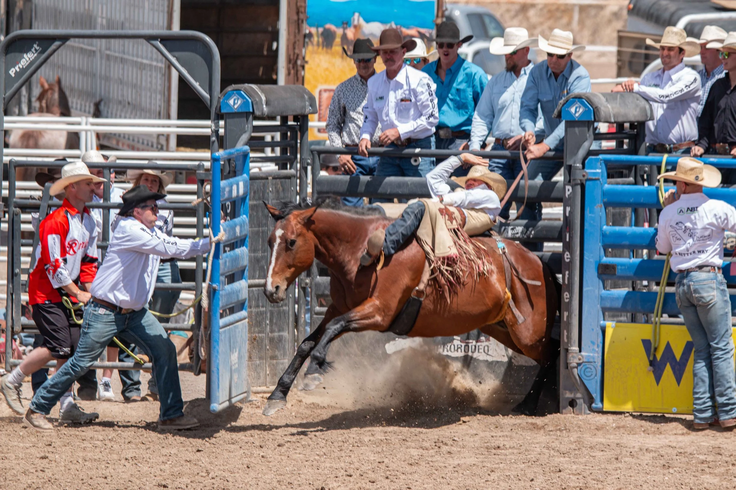 Big Bucks Rodeo 26.05.23.71.jpg