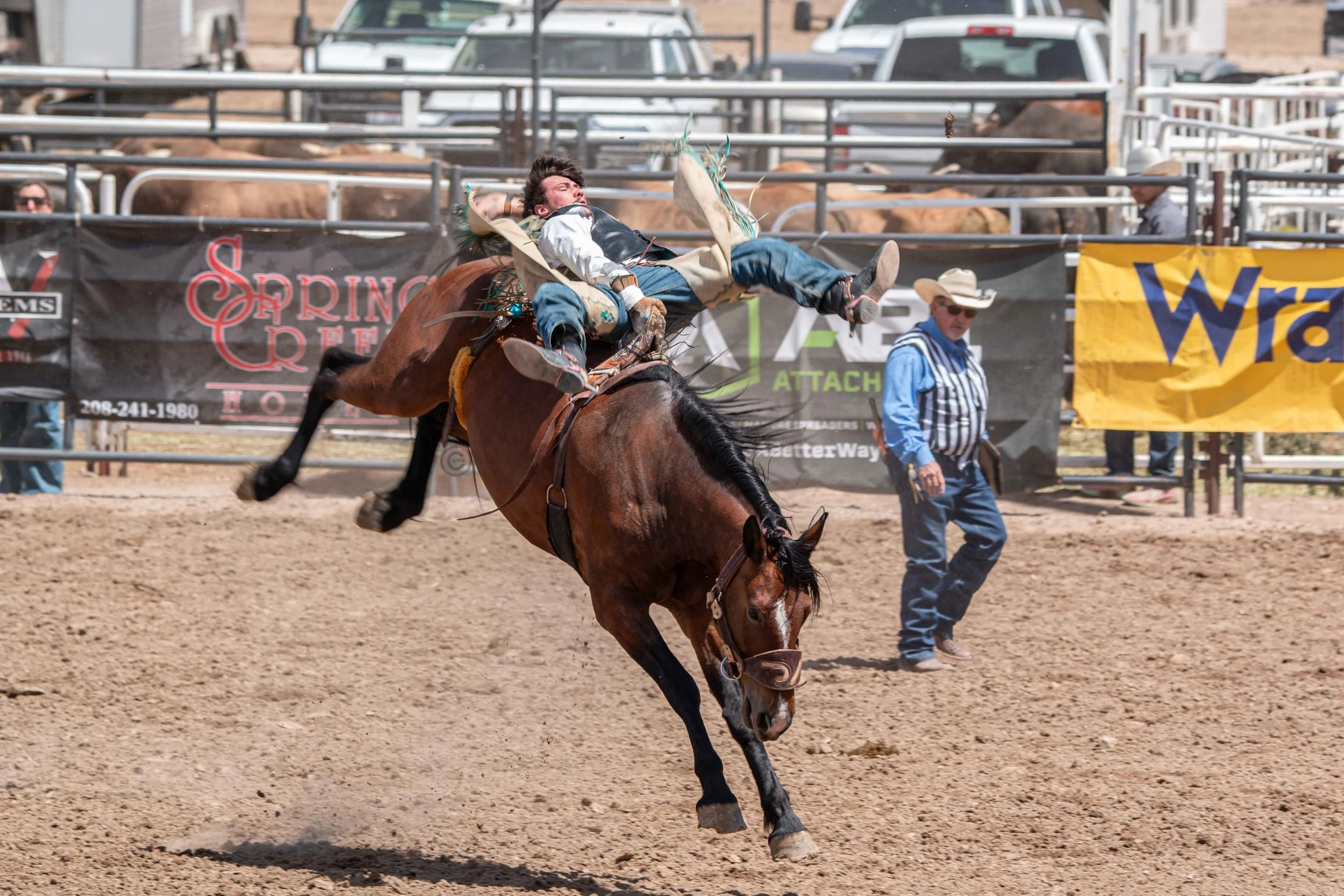 Big Bucks Rodeo 26.05.23.81.jpg