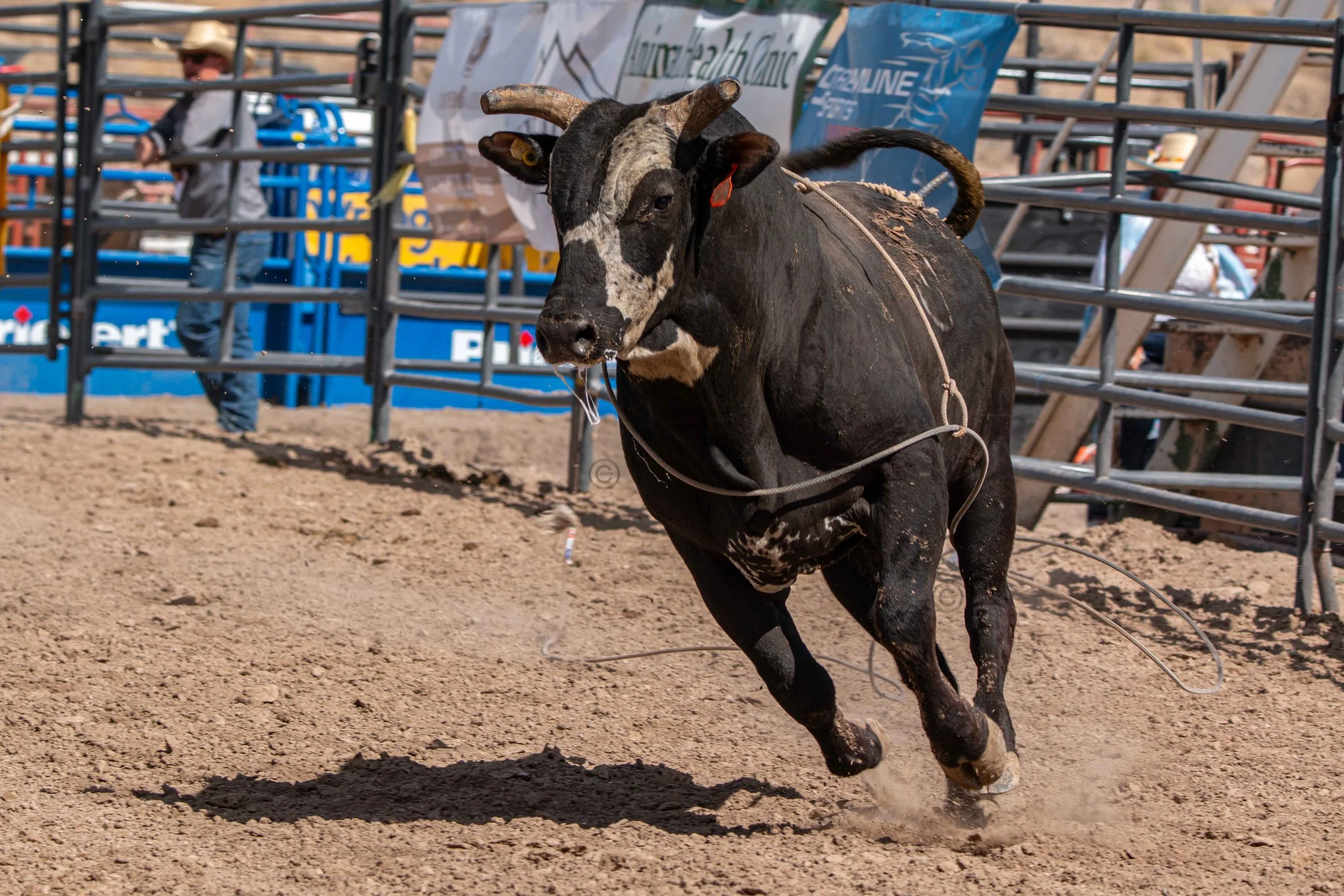 Big Bucks Rodeo 26.05.23.208.jpg