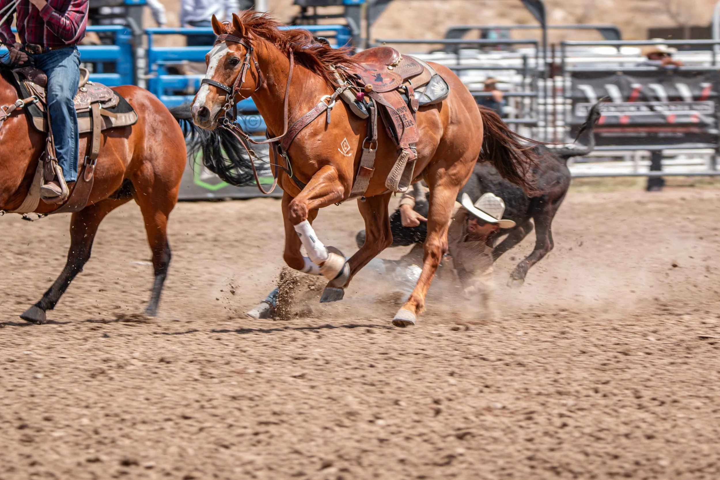 Big Bucks Rodeo 26.05.23.94.jpg