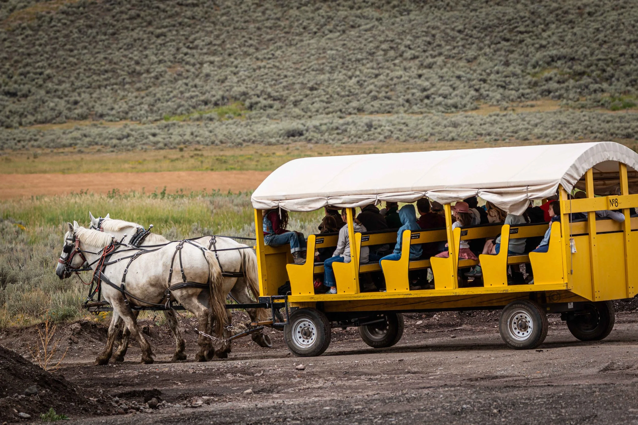 Yellowstone Park 26.08.15.24.jpg