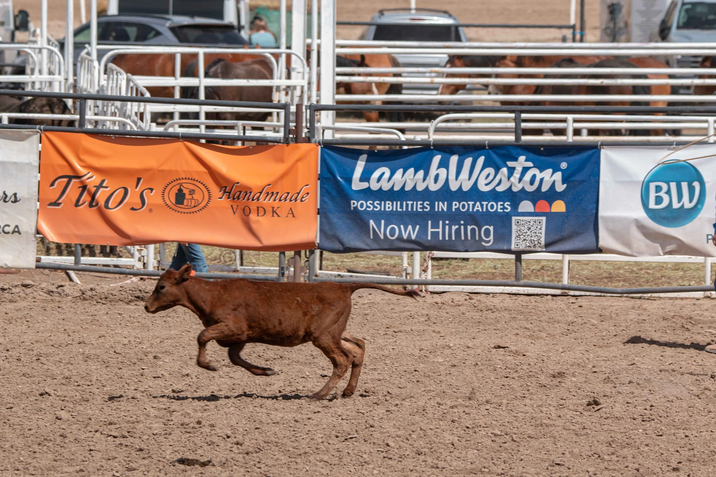 Big Bucks Rodeo 26.05.23.173.jpg