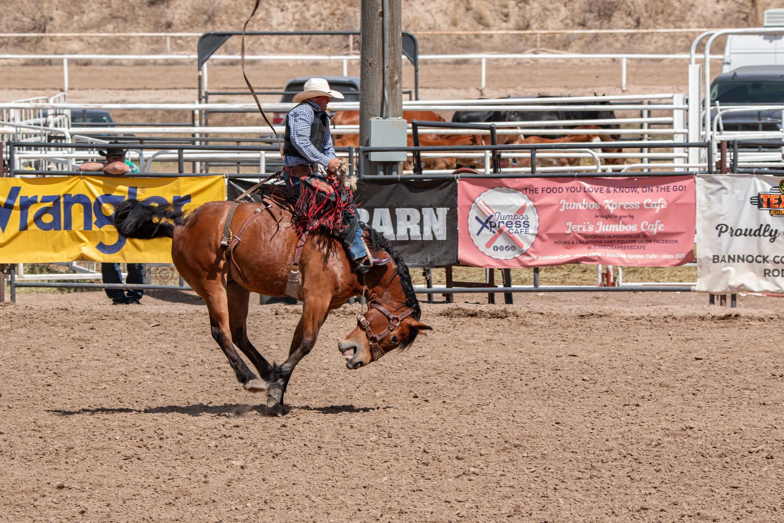 Big Bucks Rodeo 26.05.23.138.jpg