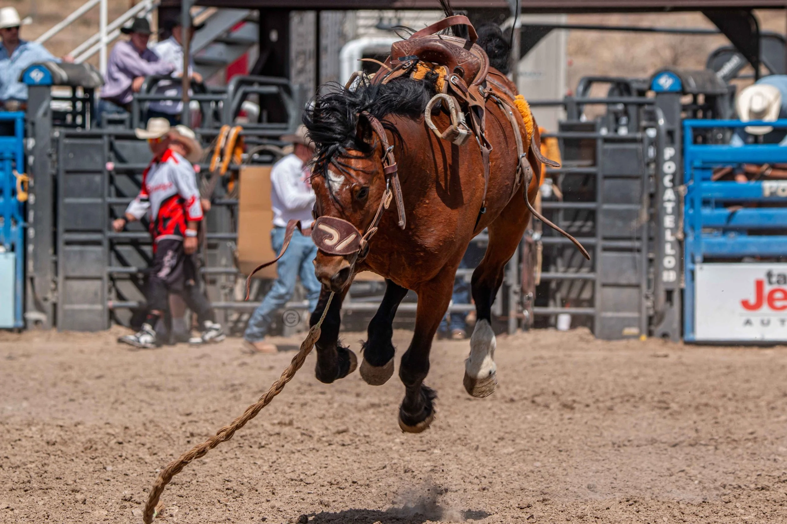 Big Bucks Rodeo 26.05.23.147.jpg