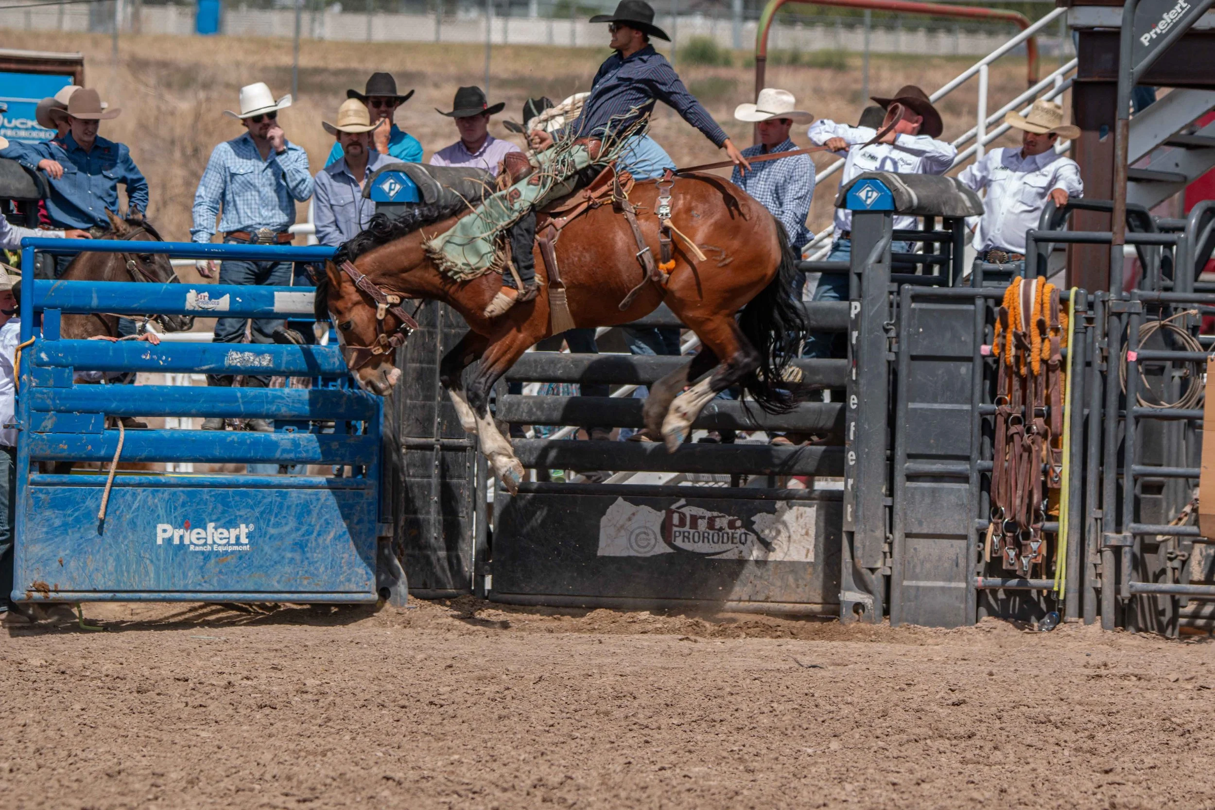 Big Bucks Rodeo 26.05.23.161.jpg