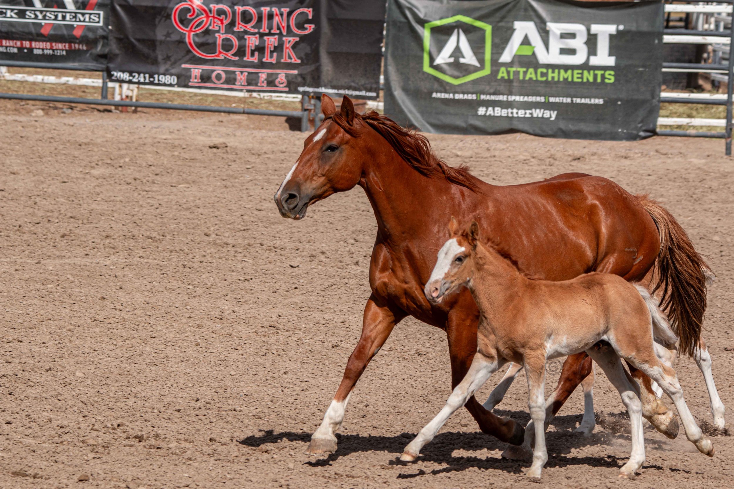 Big Bucks Rodeo 26.05.23.248.jpg