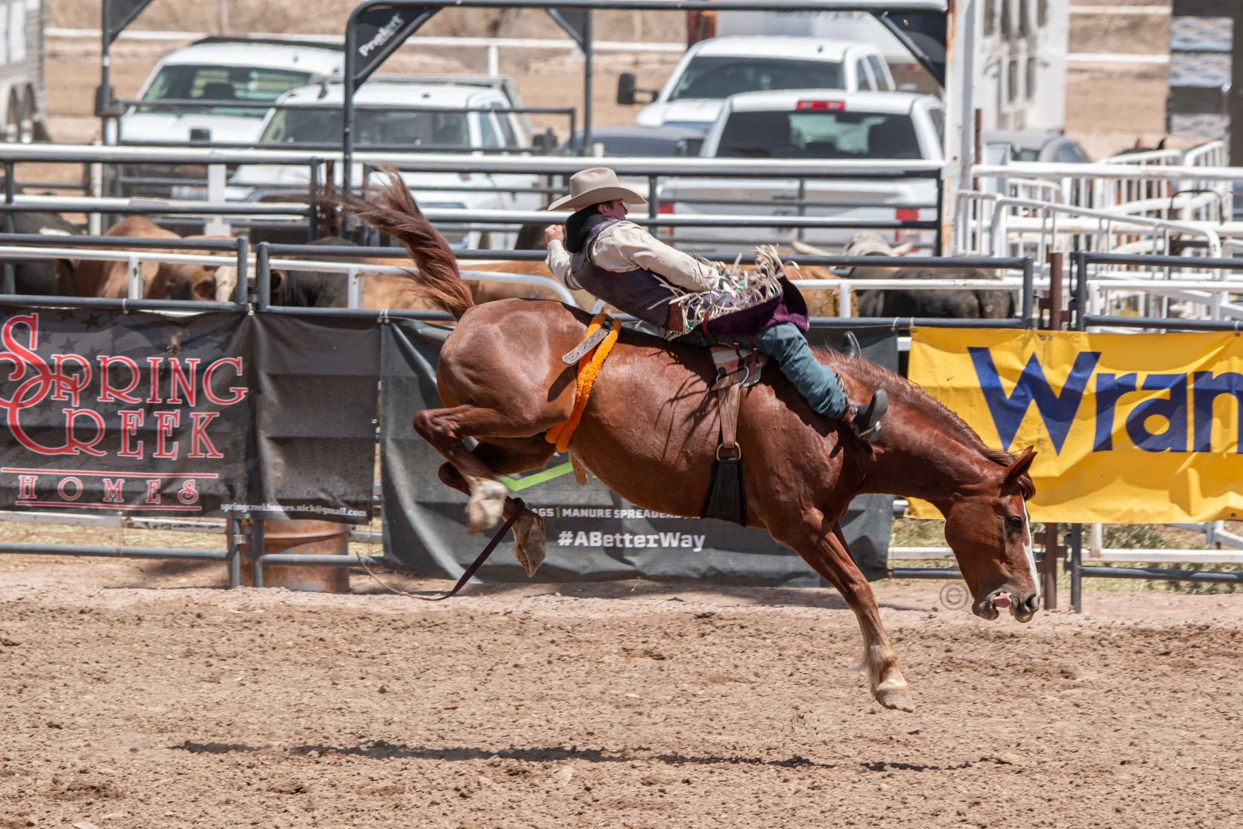 Big Bucks Rodeo 26.05.23.55.jpg