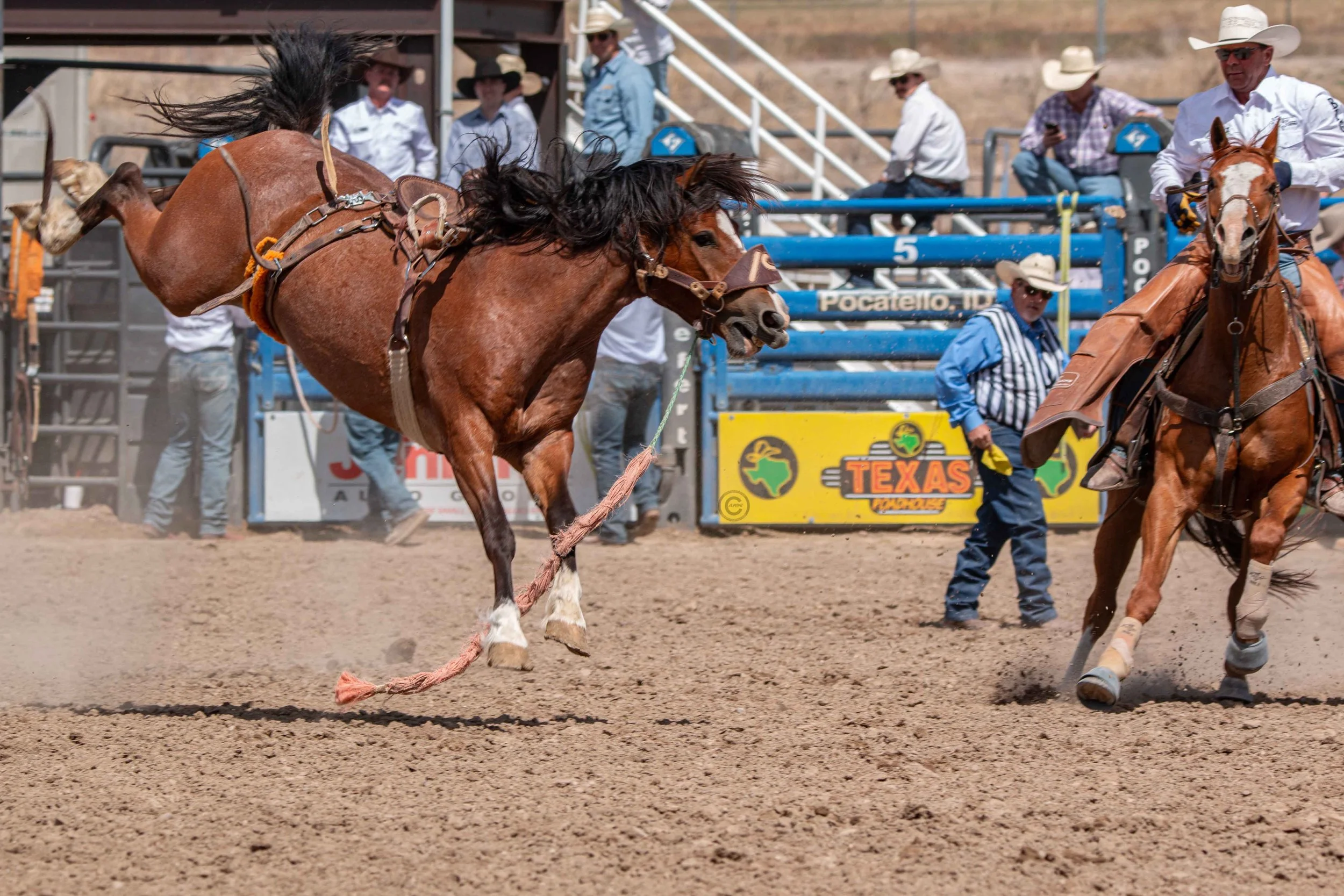 Big Bucks Rodeo 26.05.23.150.jpg