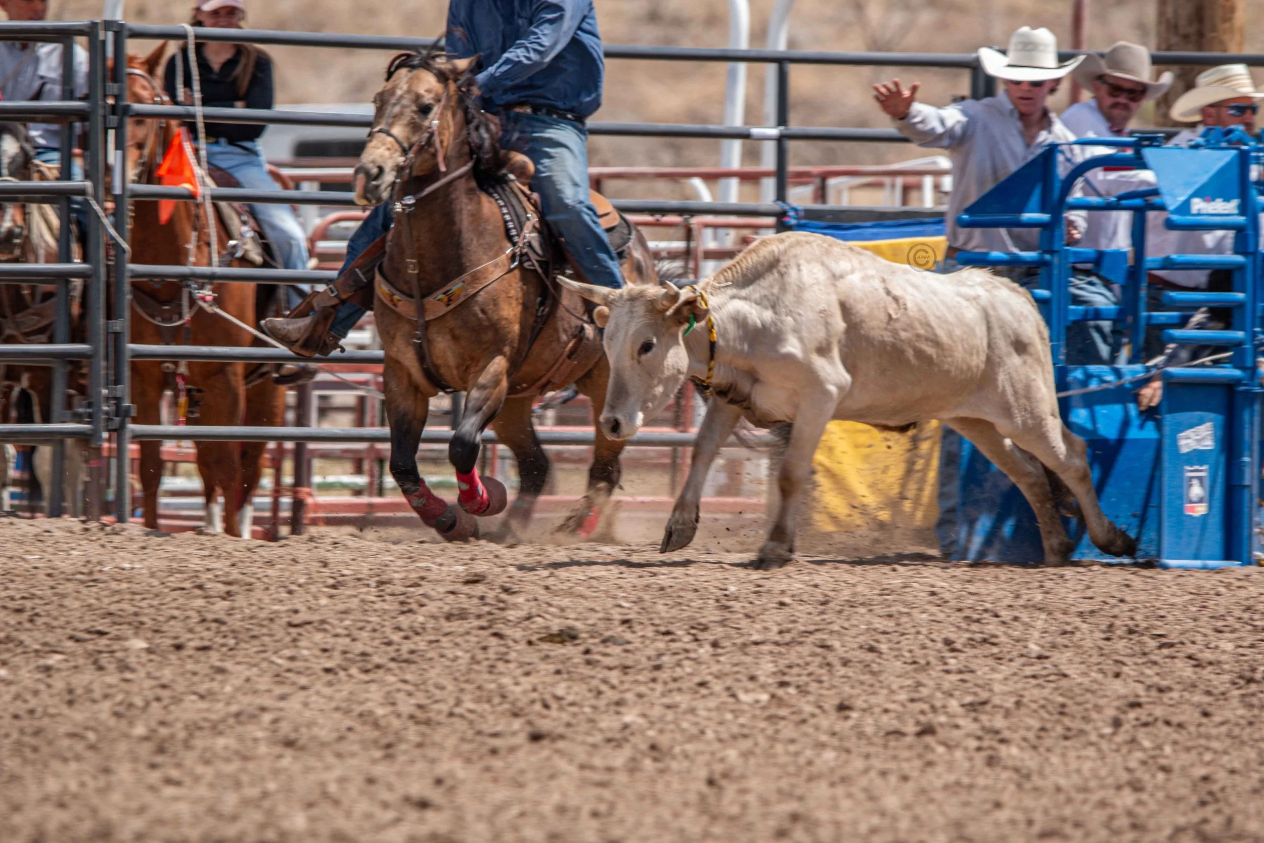 Big Bucks Rodeo 26.05.23.97.jpg