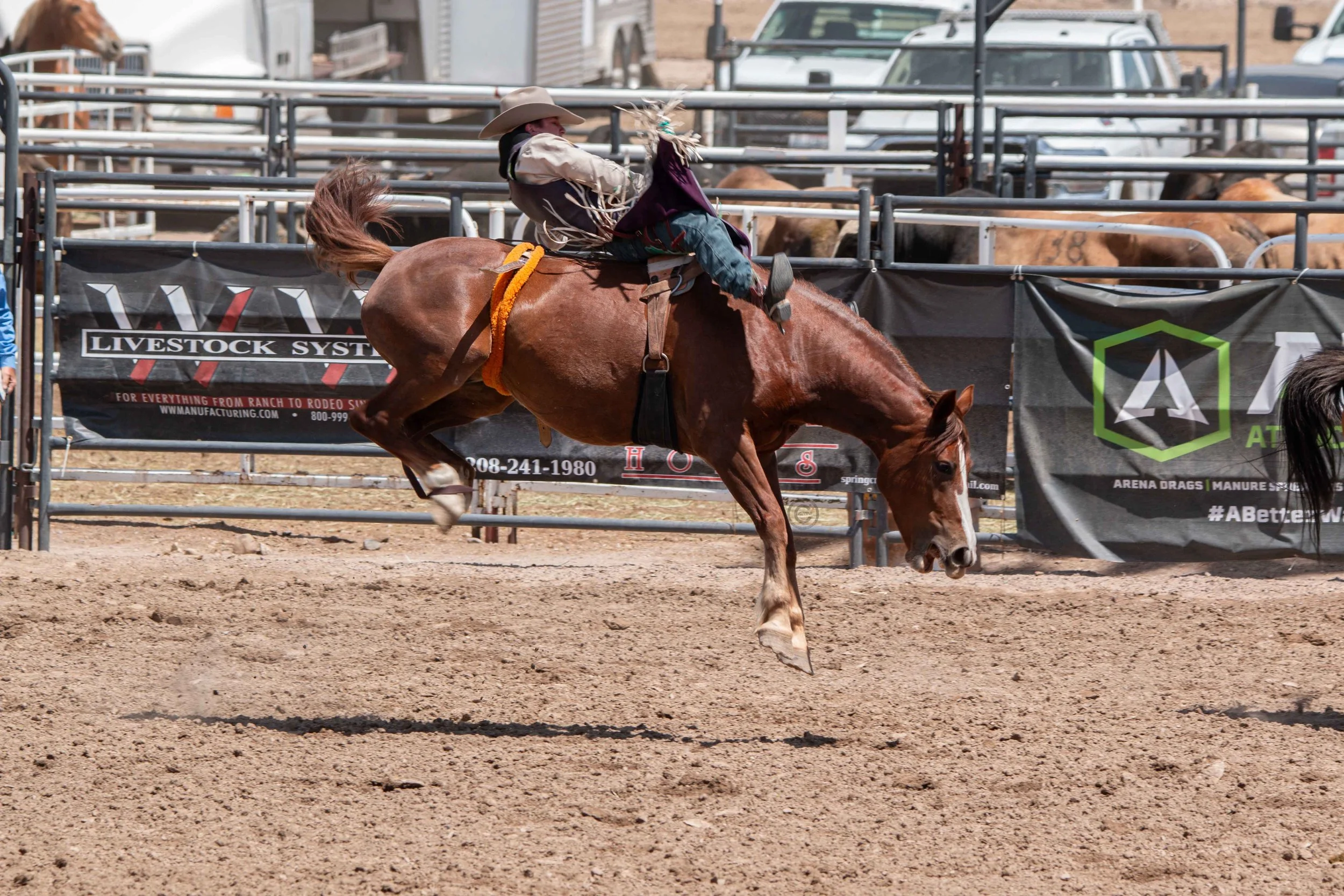 Big Bucks Rodeo 26.05.23.54.jpg