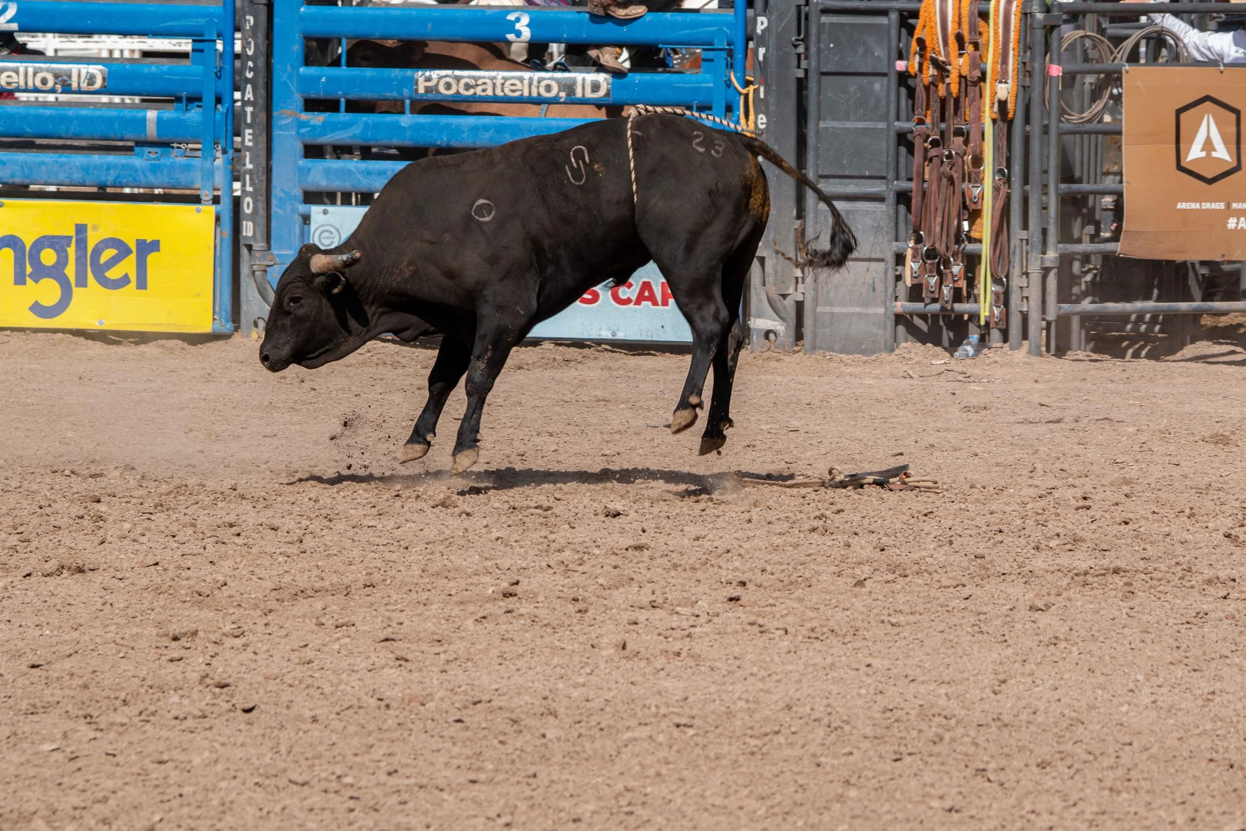 Big Bucks Rodeo 26.05.23.235.jpg