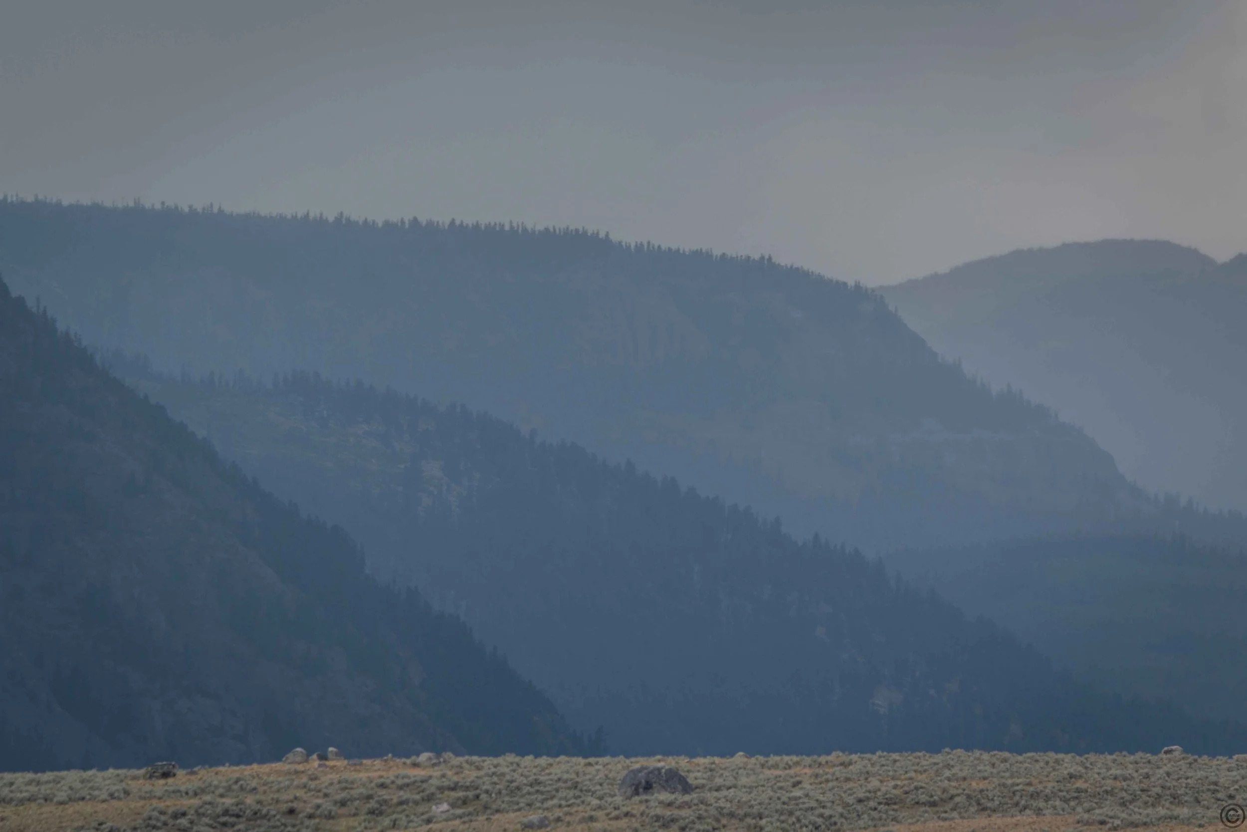 Yellowstone Park 26.08.15.15.jpg
