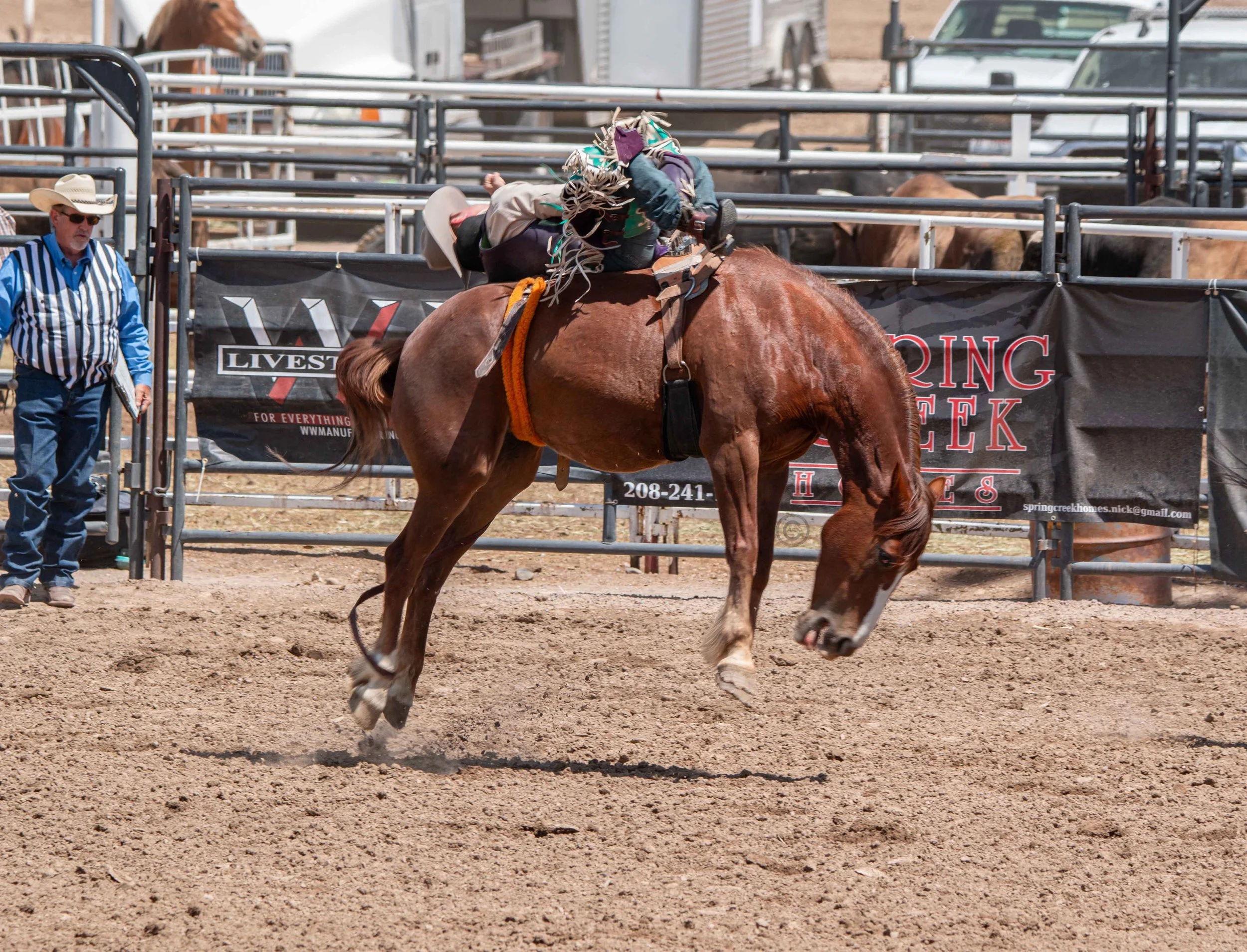 Big Bucks Rodeo 26.05.23.53.jpg