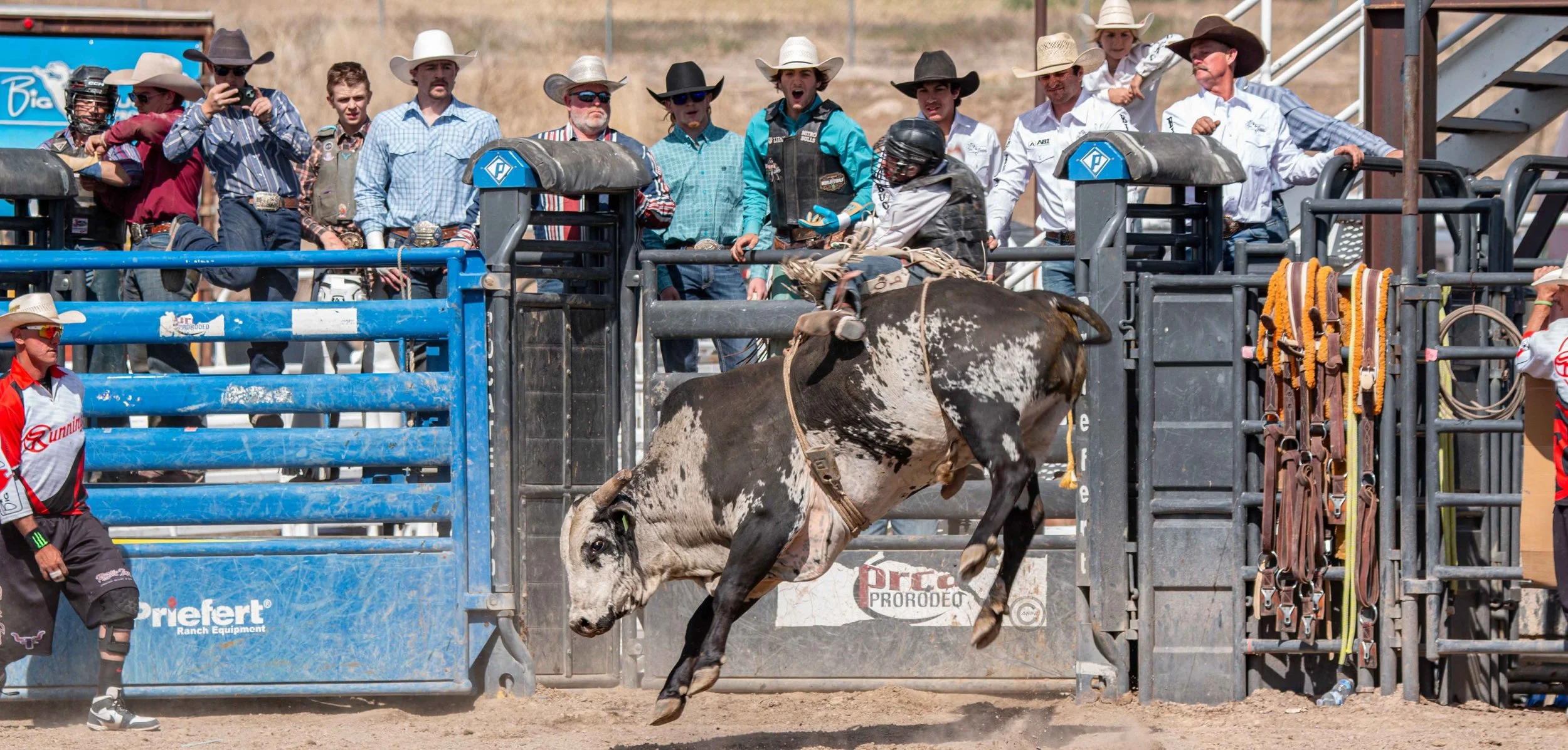 Big Bucks Rodeo 26.05.23.202.jpg