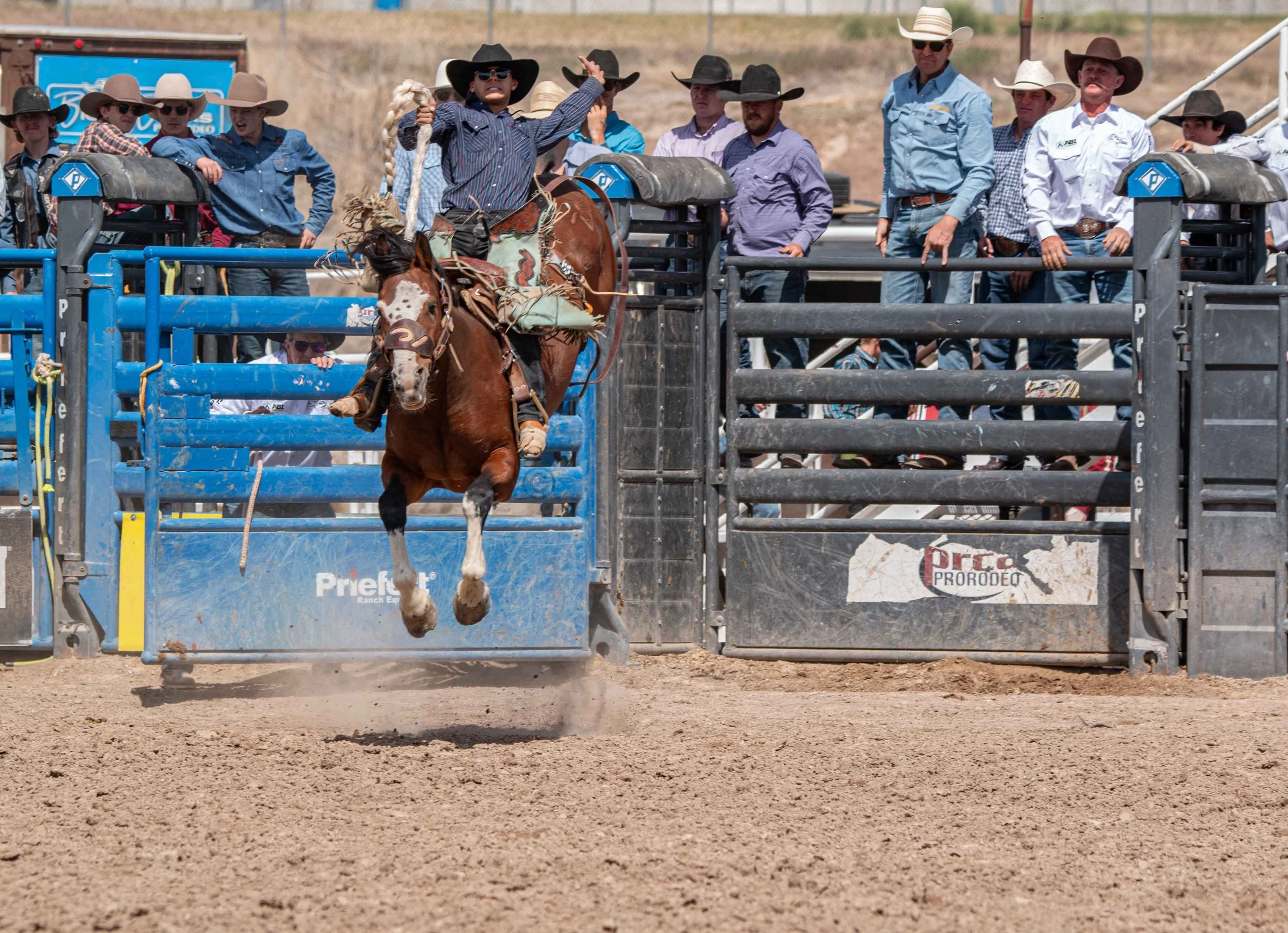 Big Bucks Rodeo 26.05.23.163.jpg