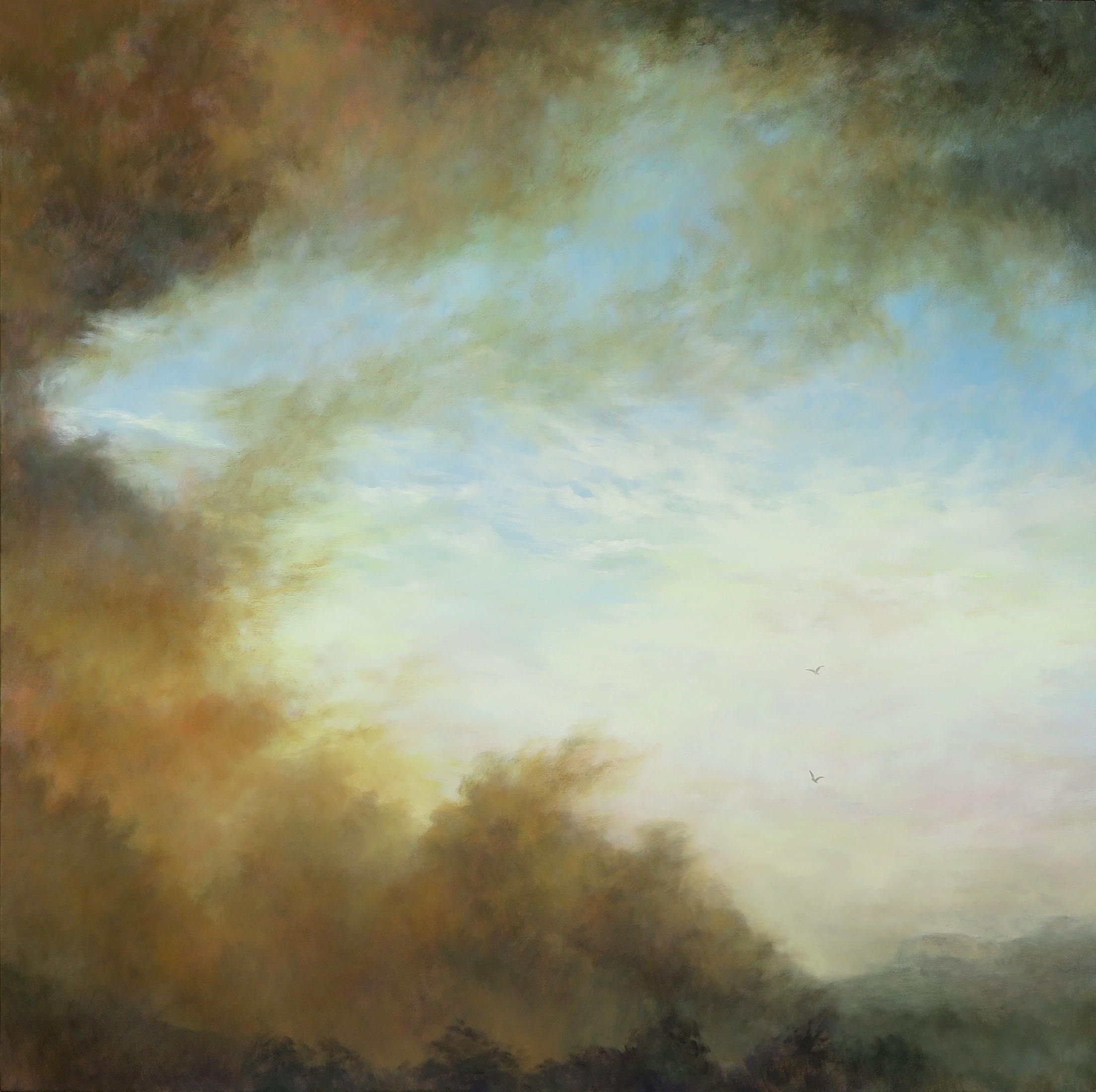 Rising, Oil on Canvas, 101 x 101cm, $3500
