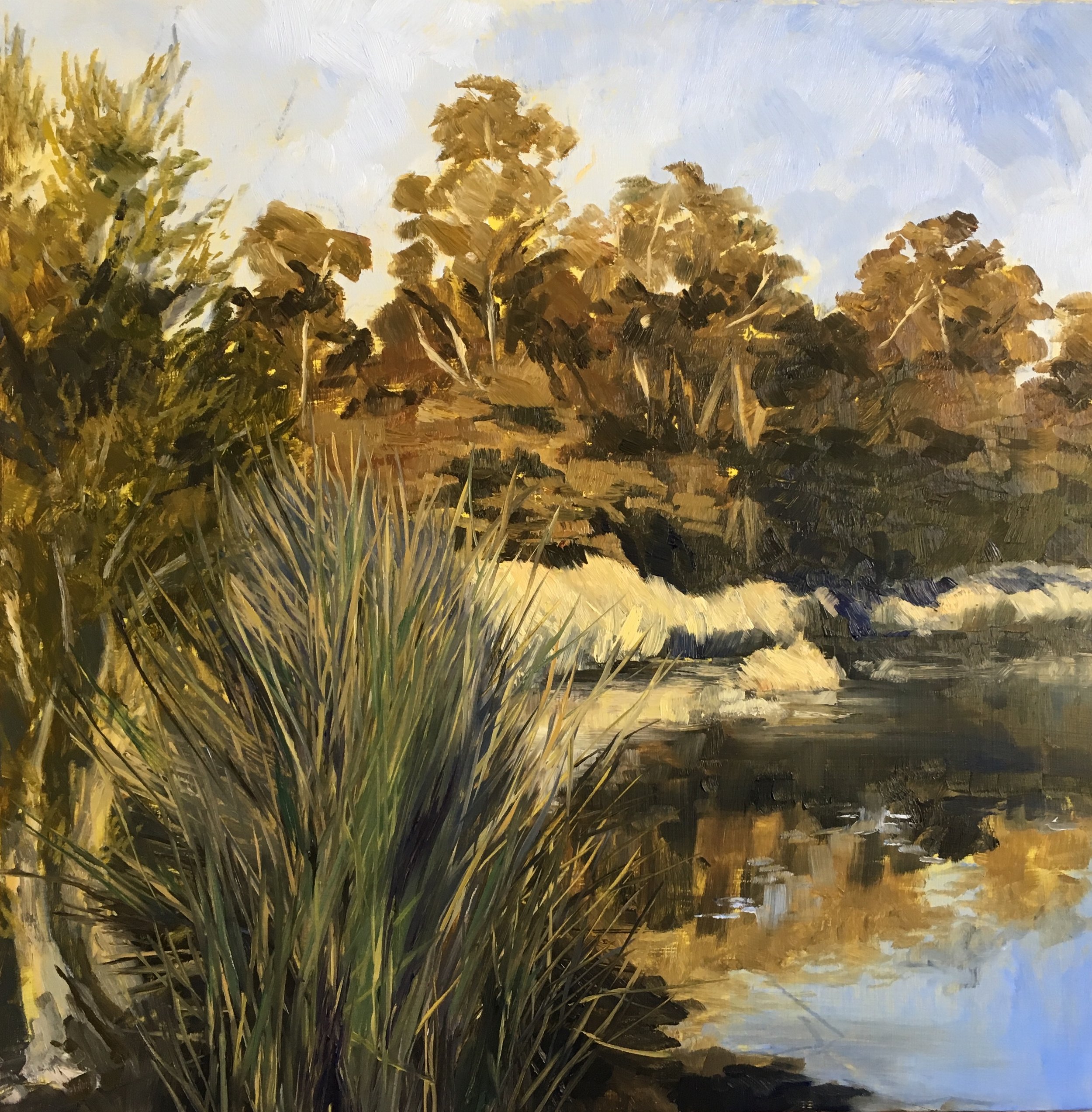 Morning Stillness, Oil on board, 40 x 40cm, $1400 framed