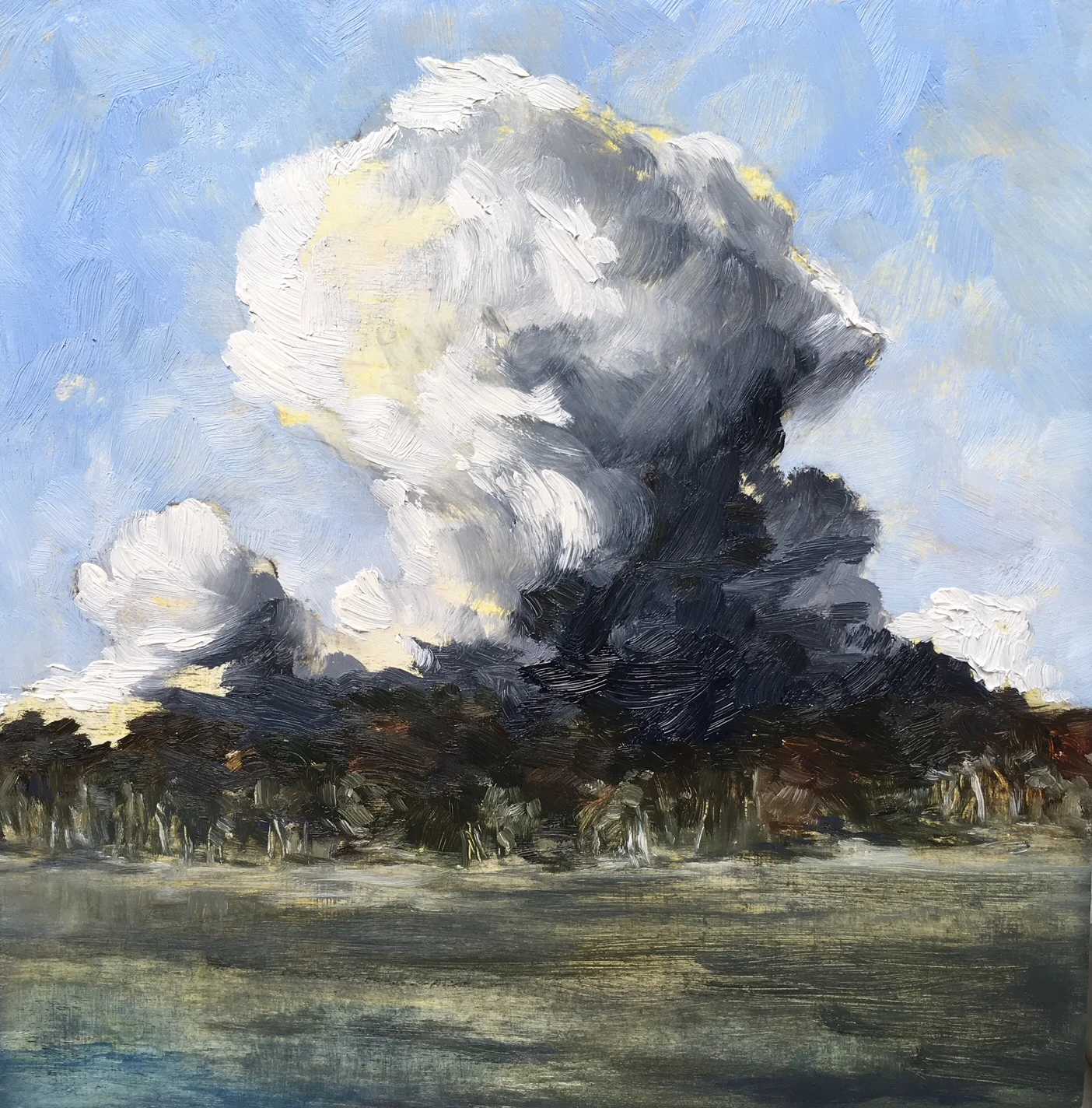 Updraft, Oil on board, 30 x 30cm, Sold