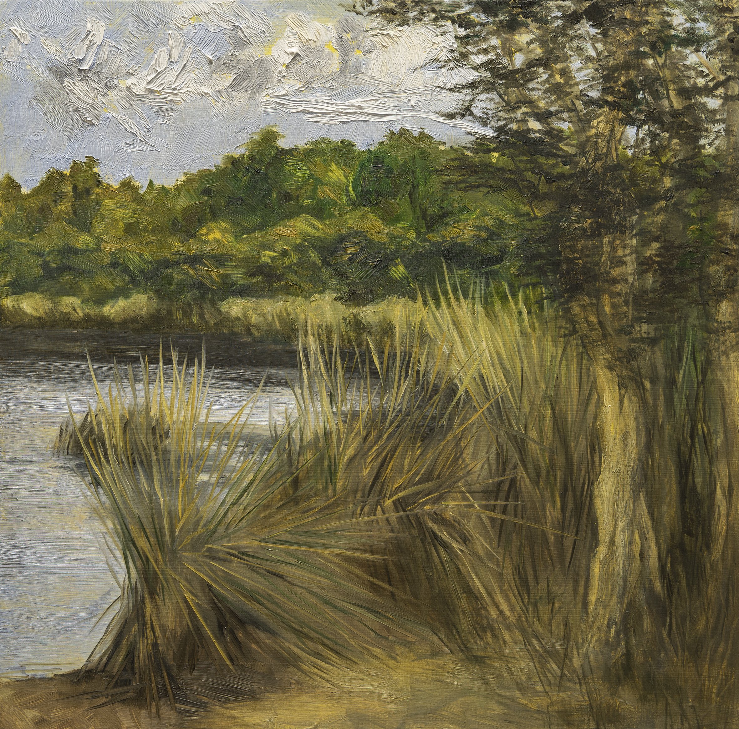 Whispering Reeds, oil on board, 40x40cm, $1400