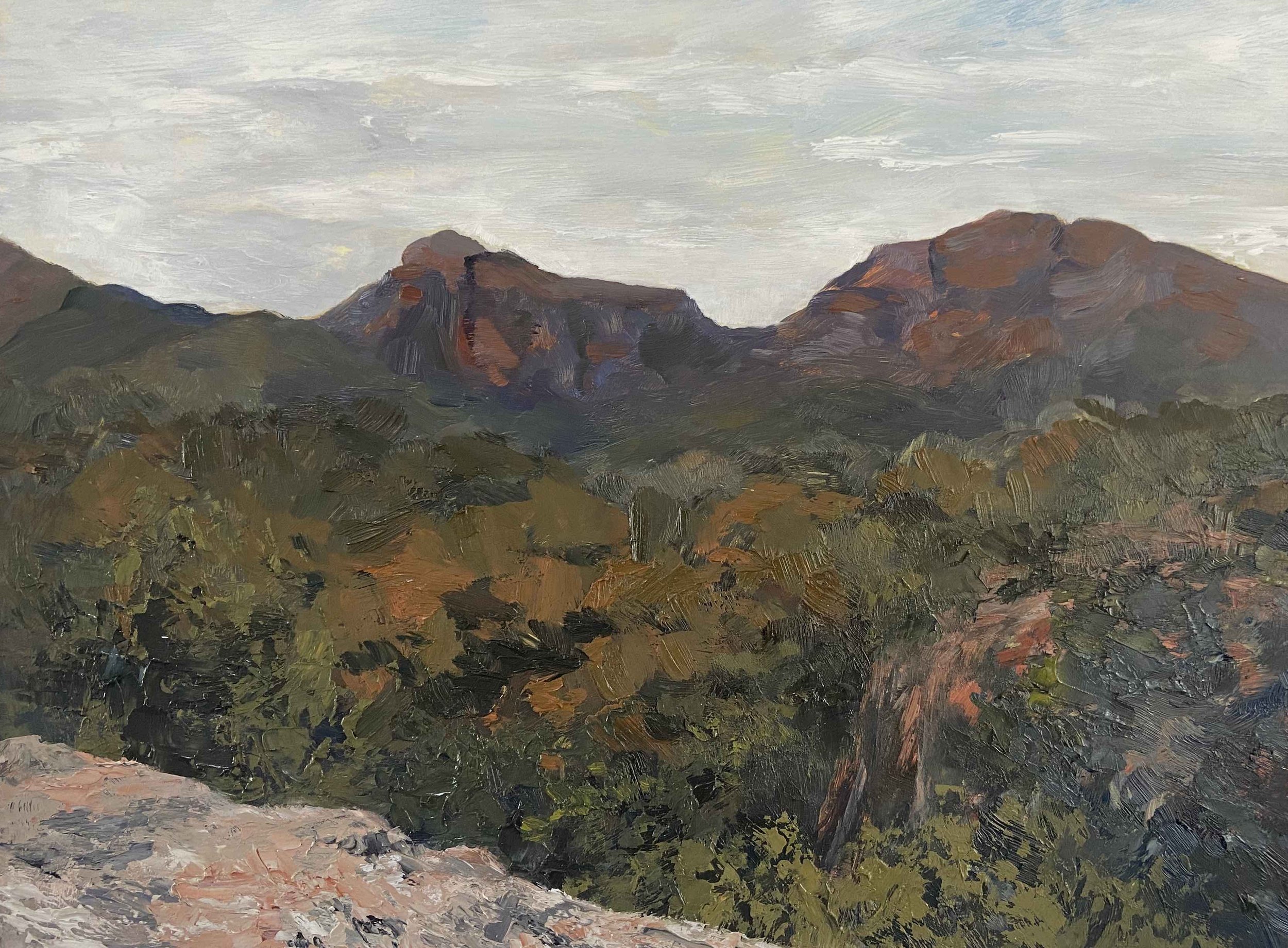 Warrumbungle Dreaming II, Oil on board, 30 x 40 cm, framed, $1200