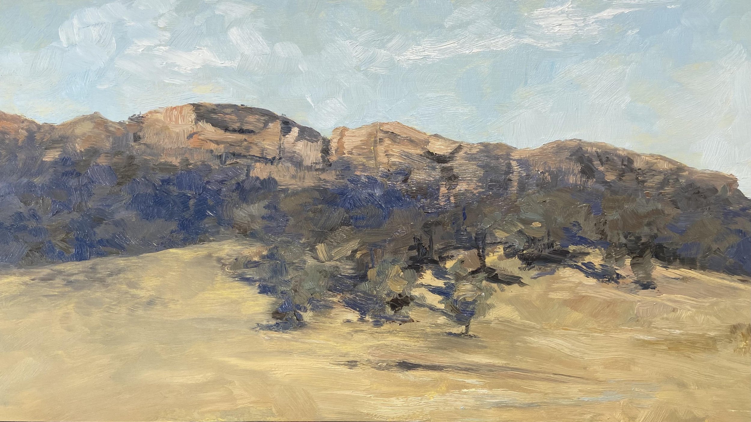 Hazy Capertee Afternoon, oil on board, 30 x 54 cm, 2023, framed $1450