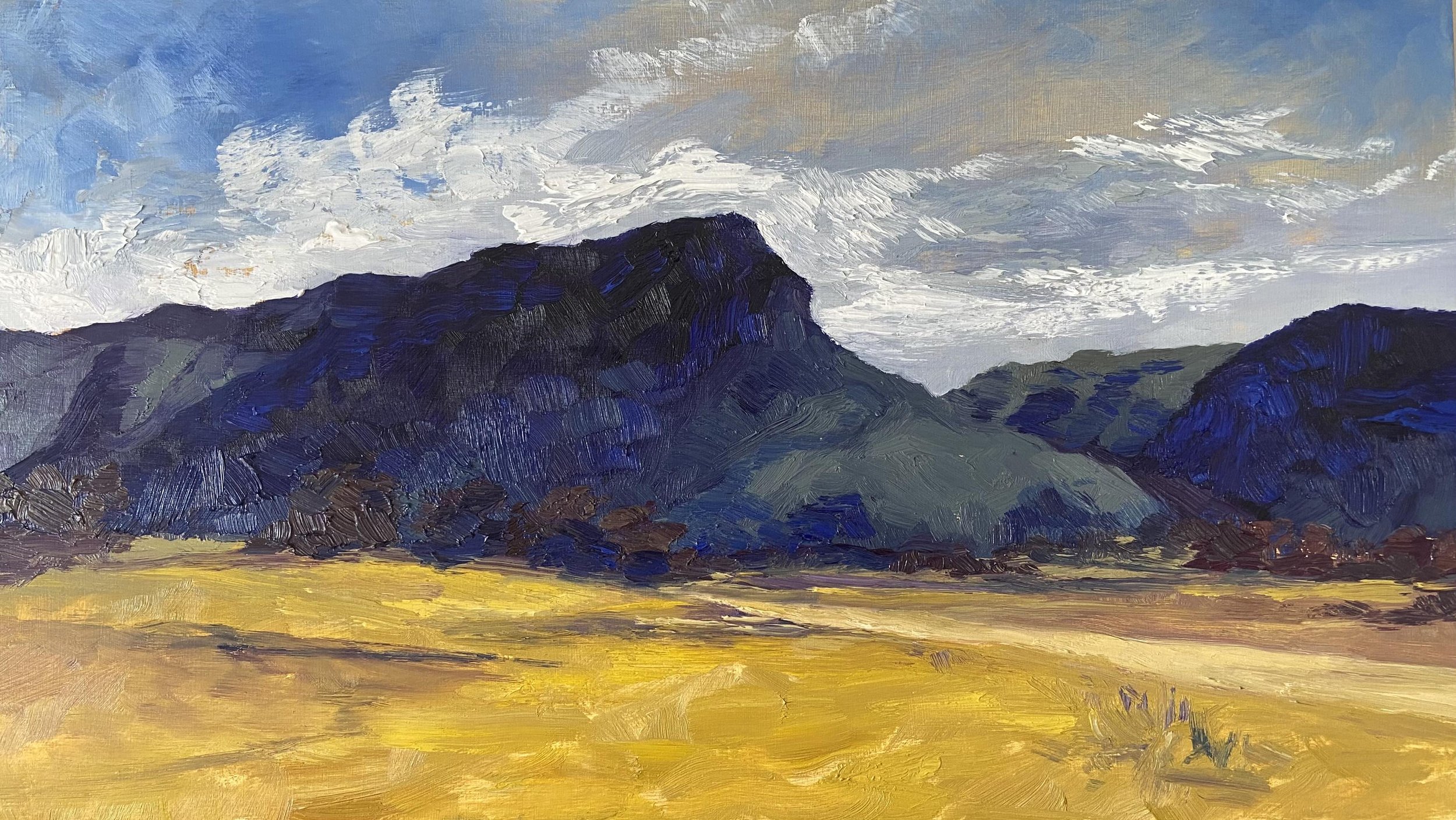 Upper Nile Road, Glen Alice, oil on board, 30 x 54 cm, 2023, framed $1450