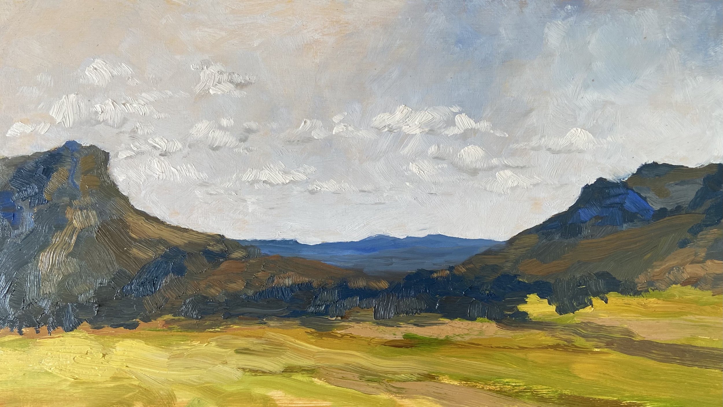 Ancient Valley, Glen Davis, oil on board, 30 x 54 cm, 2023, $1450
