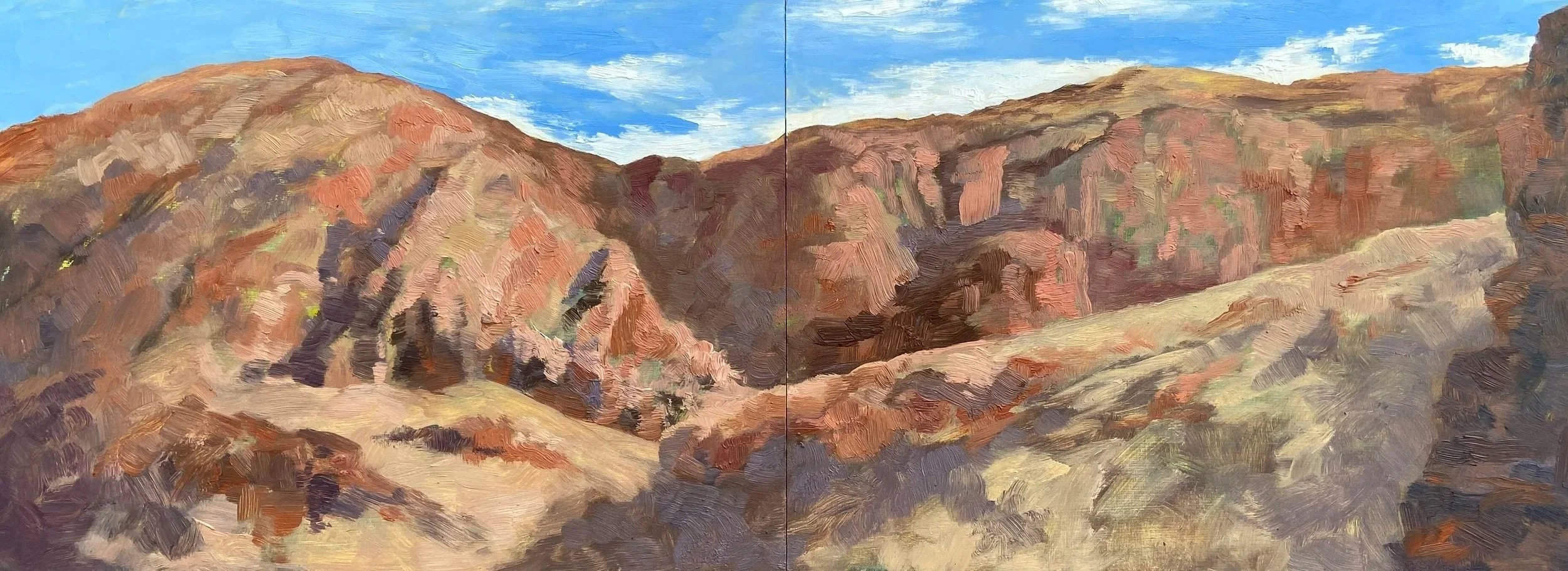 Ancient Valley, Ormiston Gorge, 2024, oil on board, framed diptych 30 x 80 cm